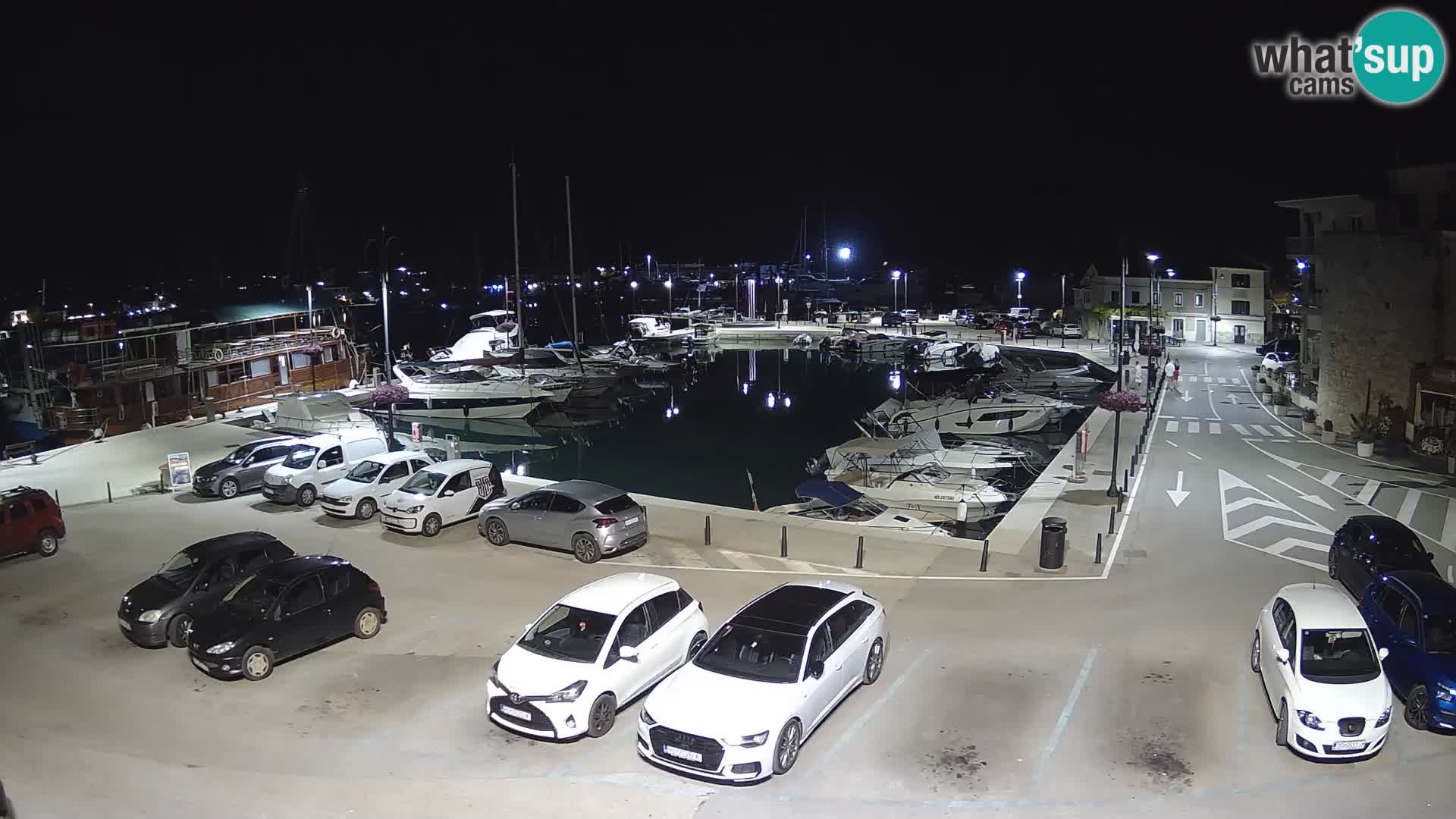 Novigrad | Porporela marina