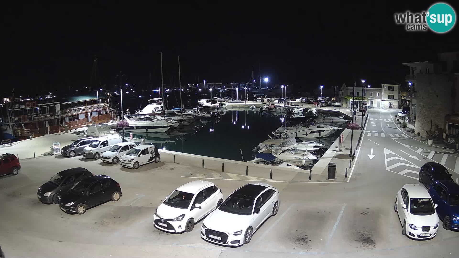 Novigrad | Porporela marina