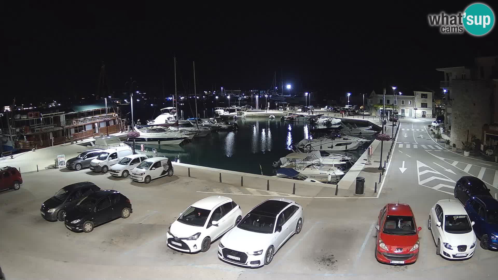 Novigrad | Porporela marina