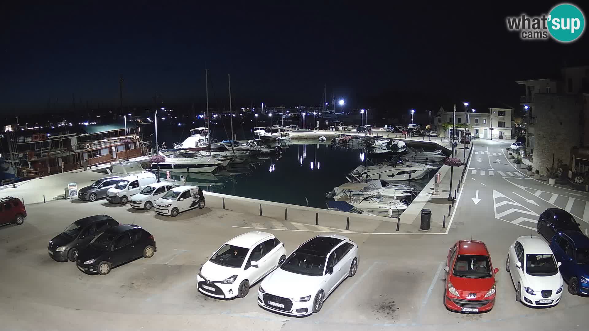 Novigrad | Porporela marina