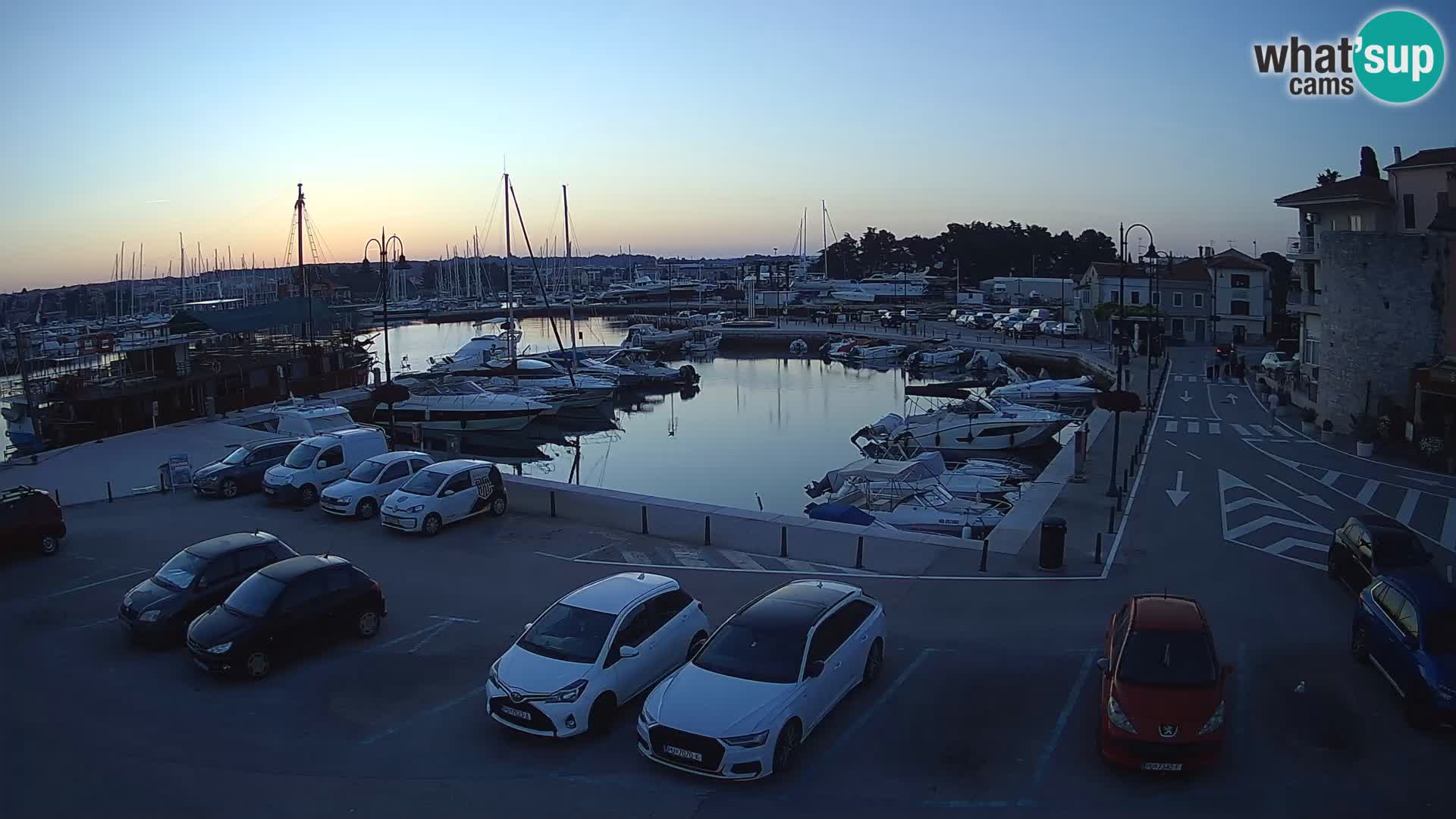 Novigrad | Porporela marina