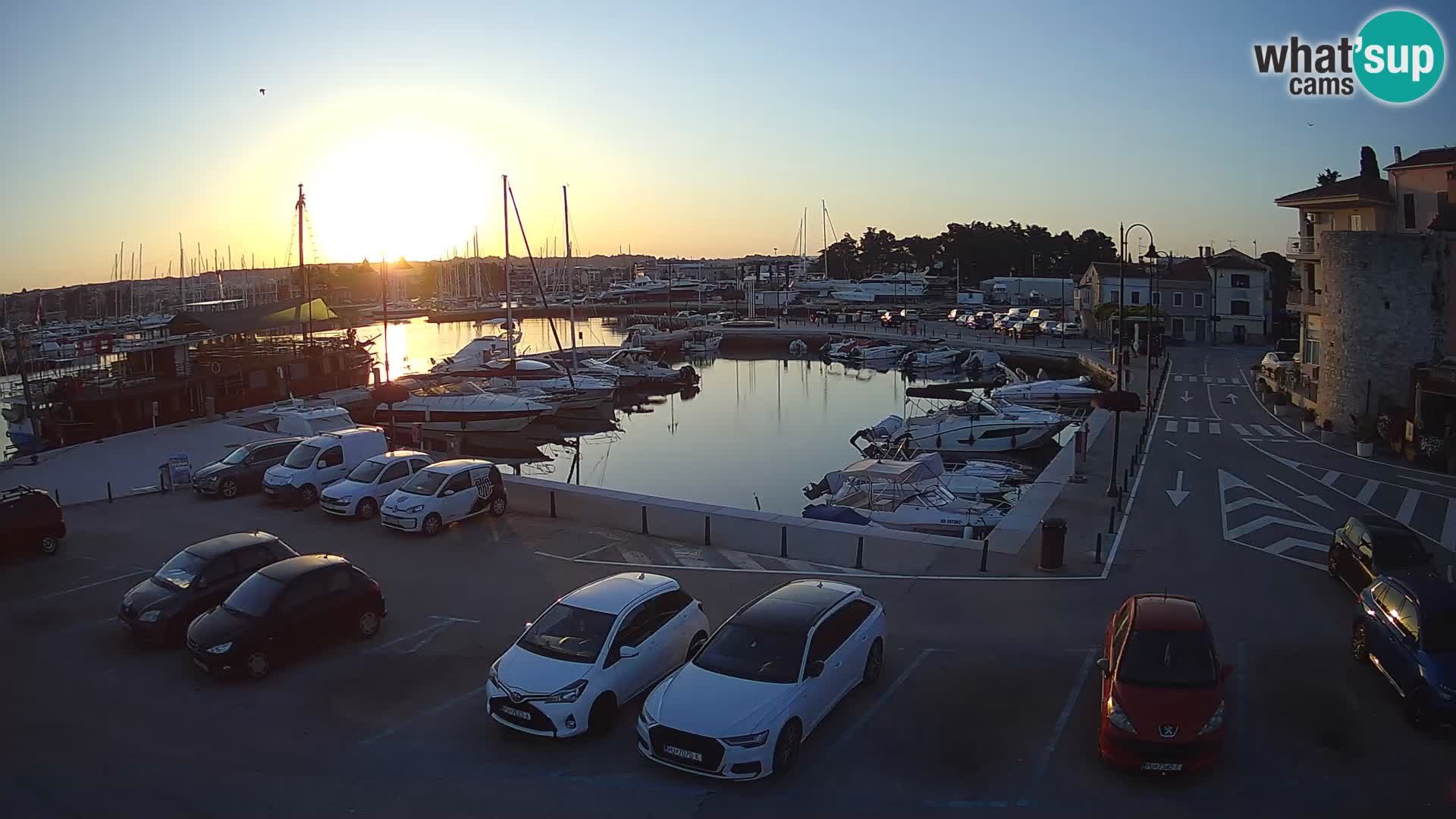Novigrad | Porporela marina