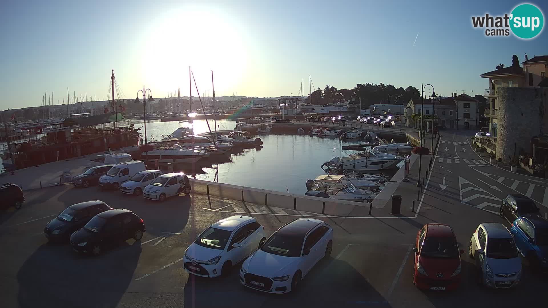 Novigrad | Porporela marina