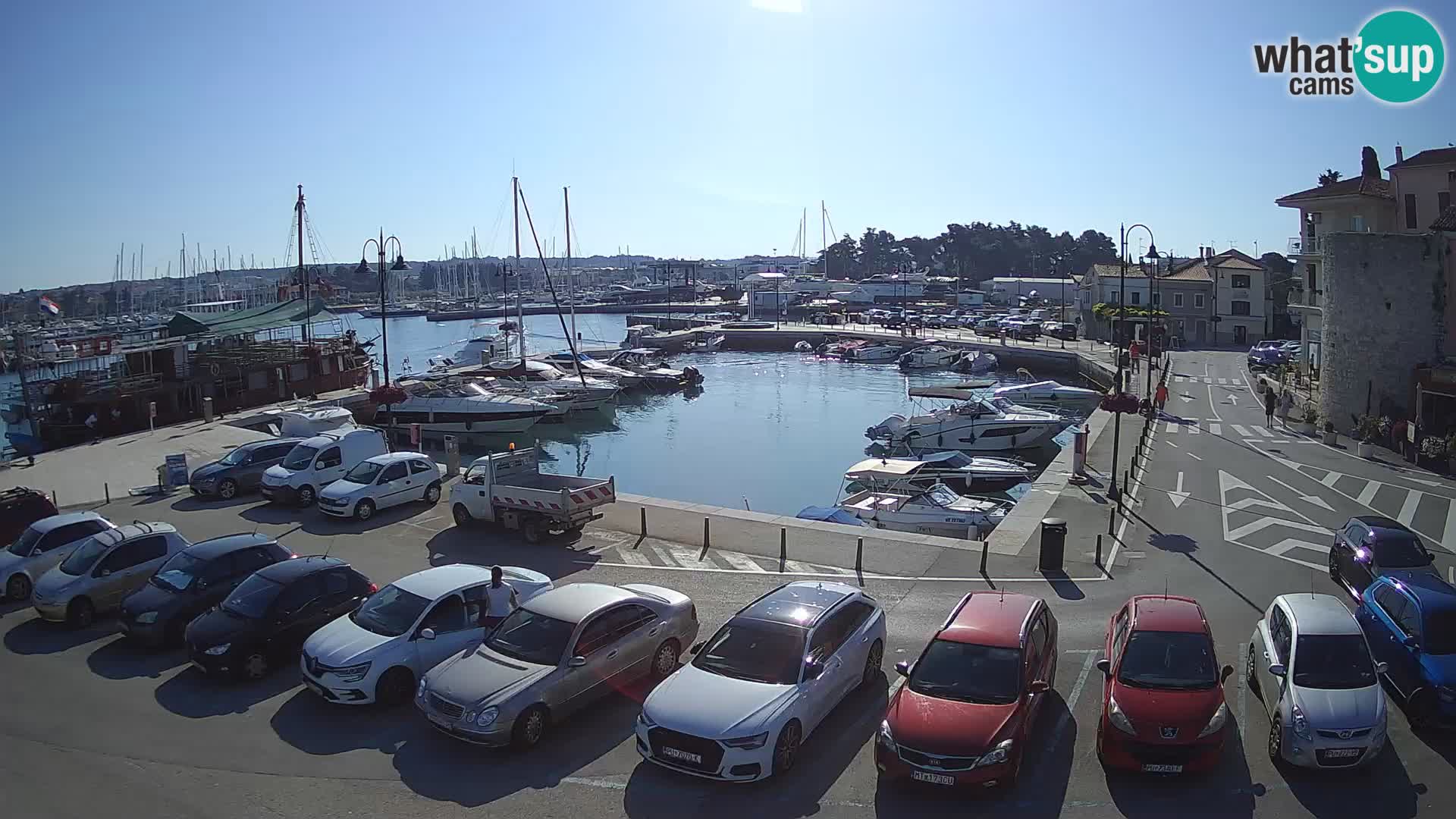 Novigrad | Porporela marina