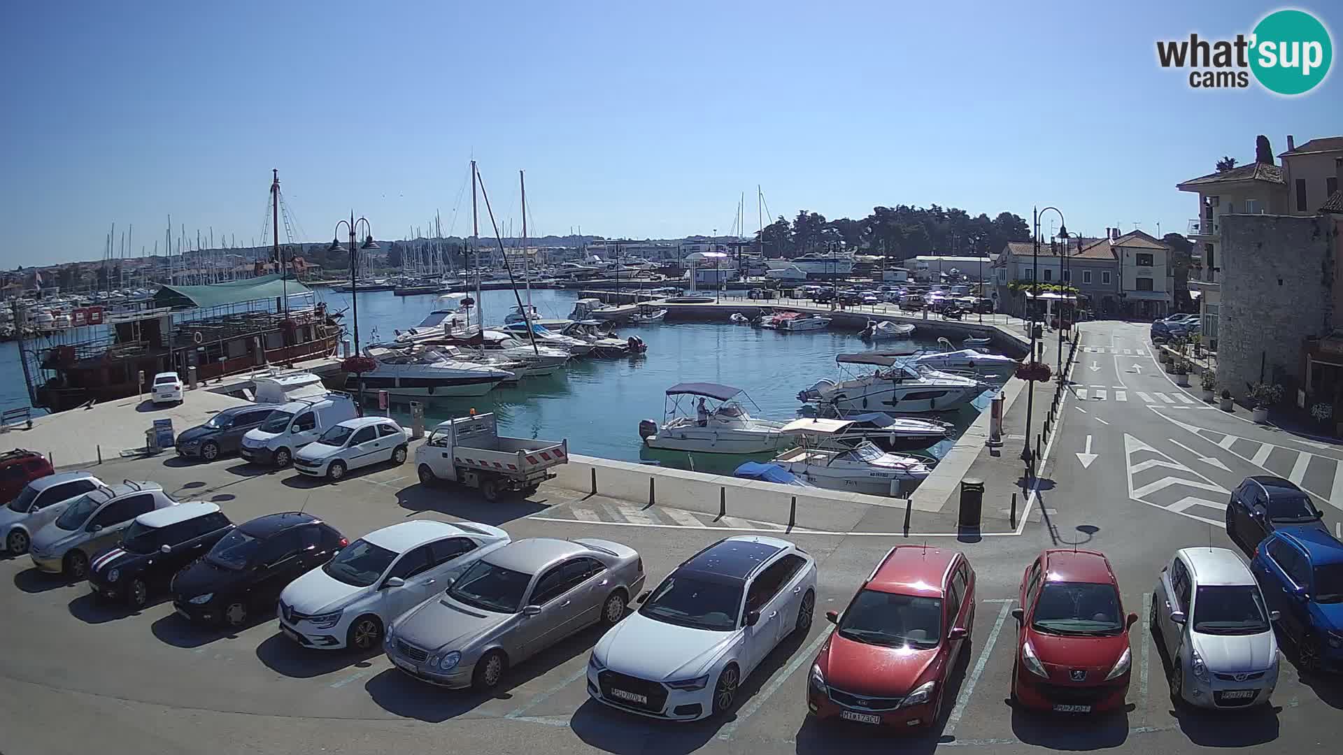 Novigrad | Porporela marina