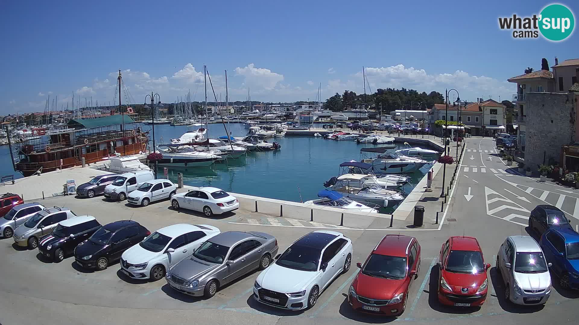 Novigrad | Porporela marina