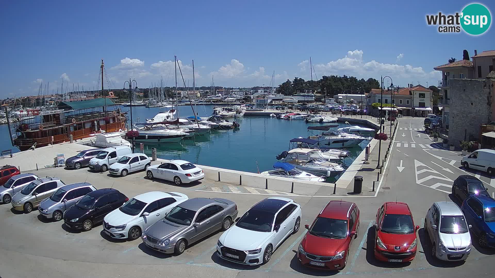 Novigrad | Porporela marina