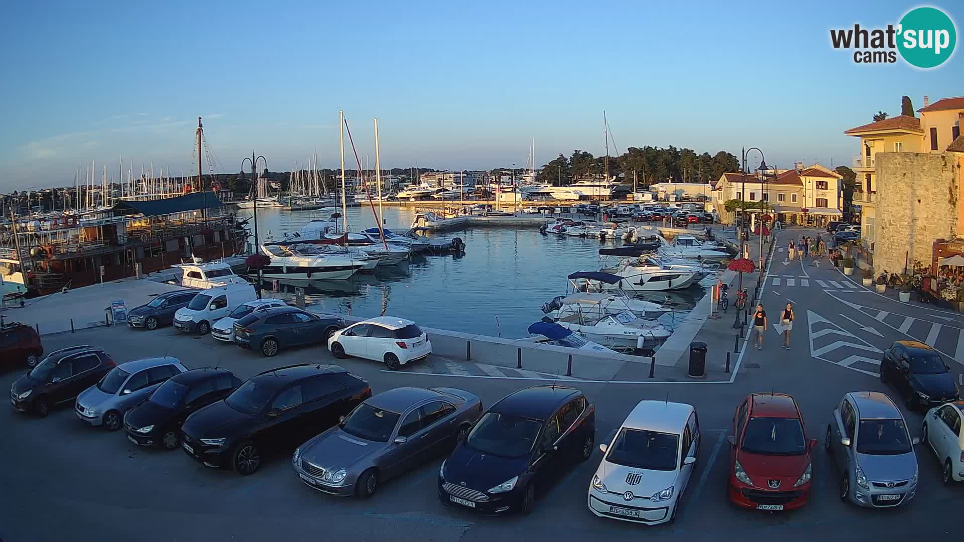 Novigrad | Porporela marina