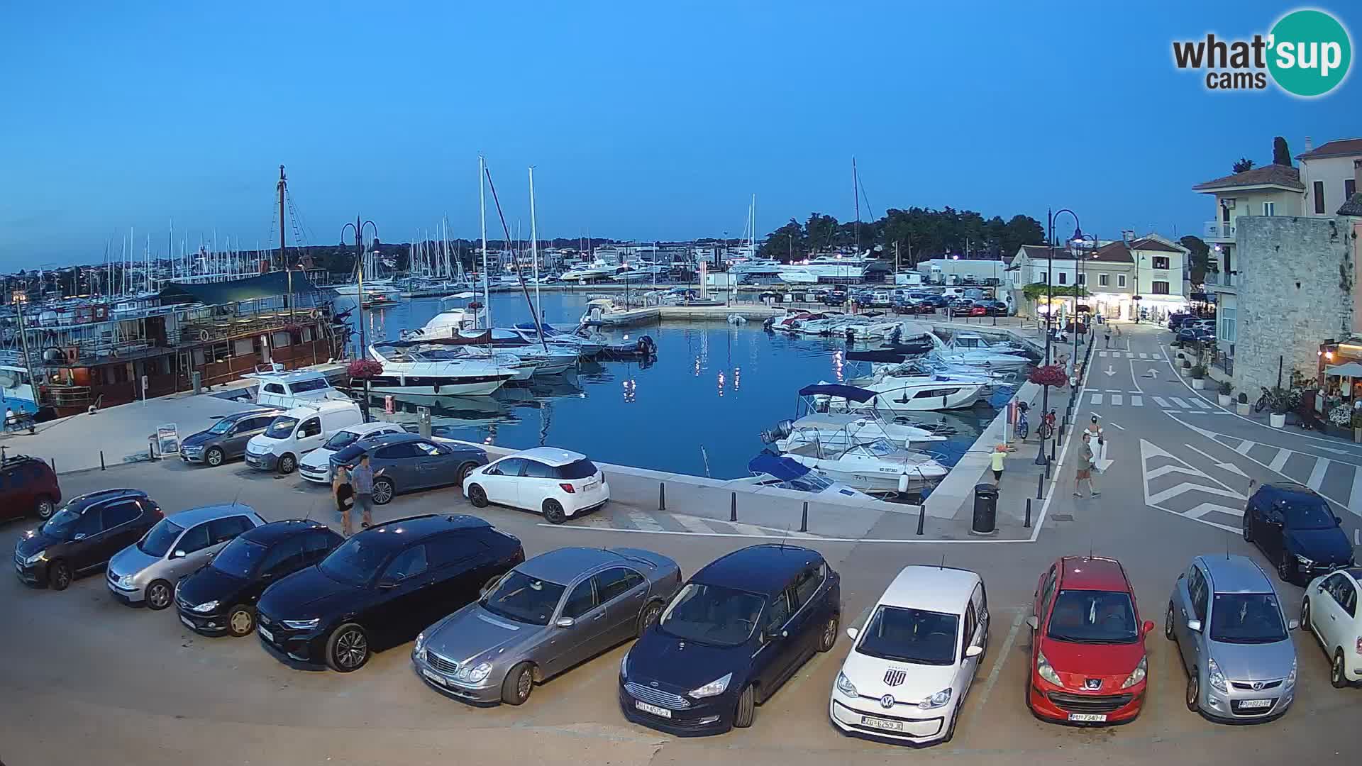 Novigrad | Porporela marina