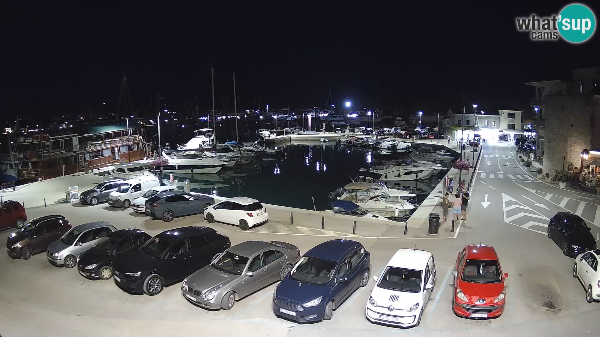 Novigrad | Porporela marina