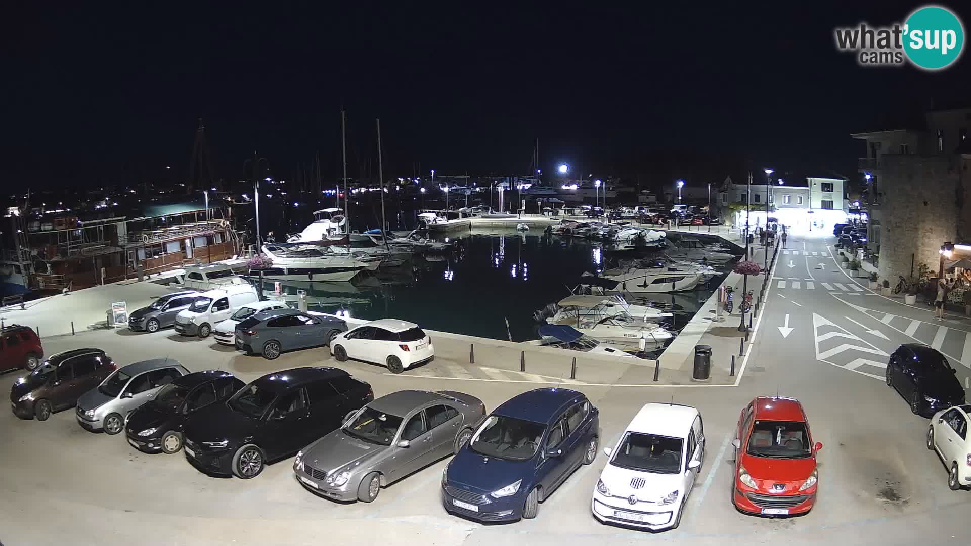 Novigrad | Porporela marina