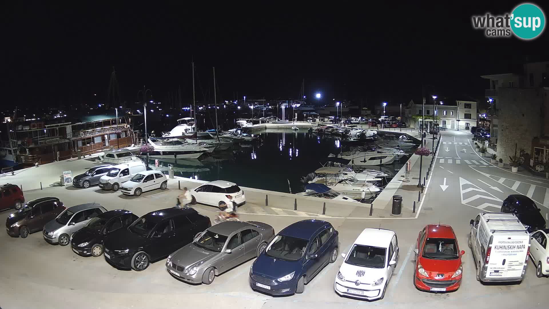 Novigrad | Porporela marina