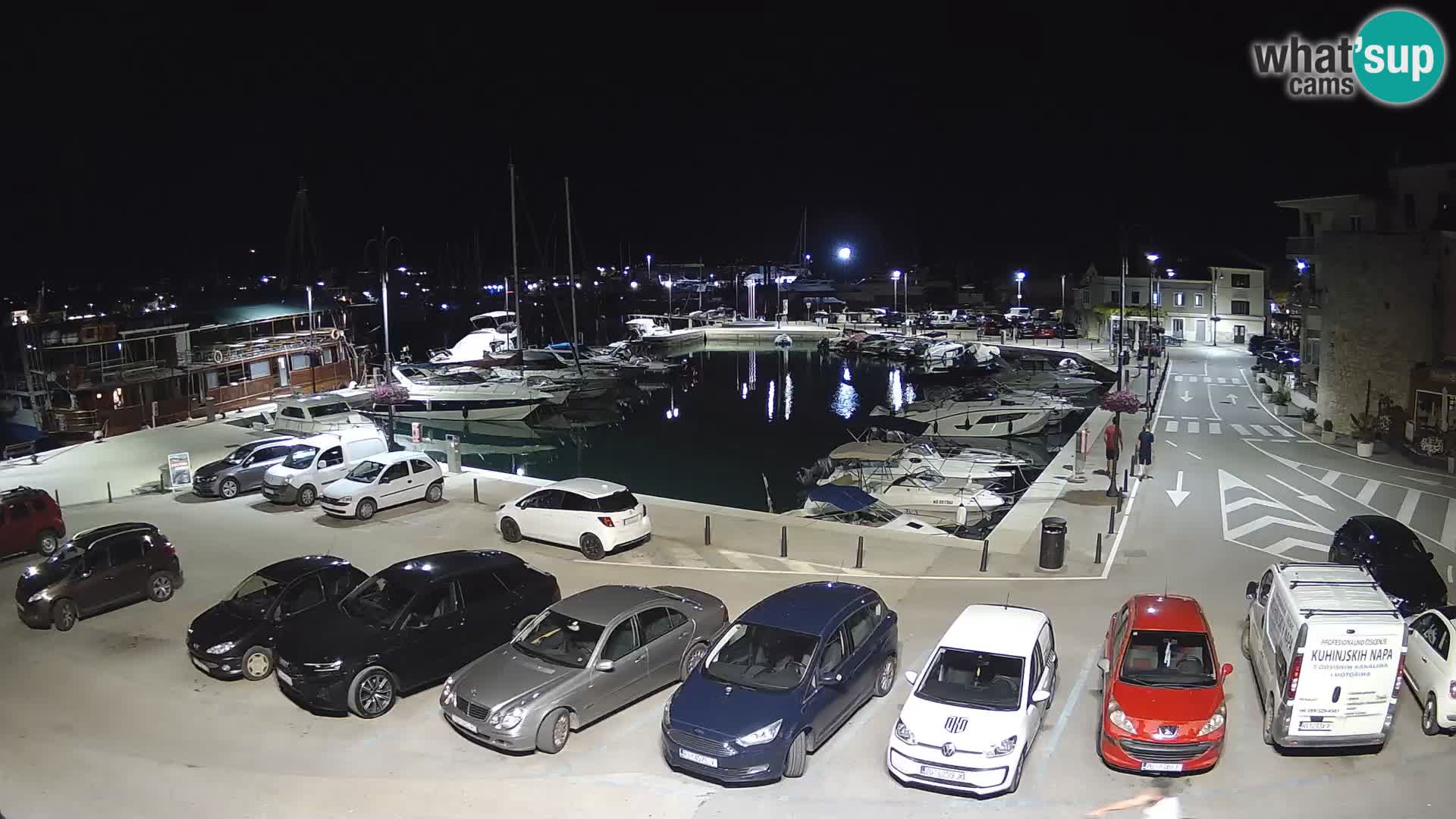 Novigrad | Porporela marina