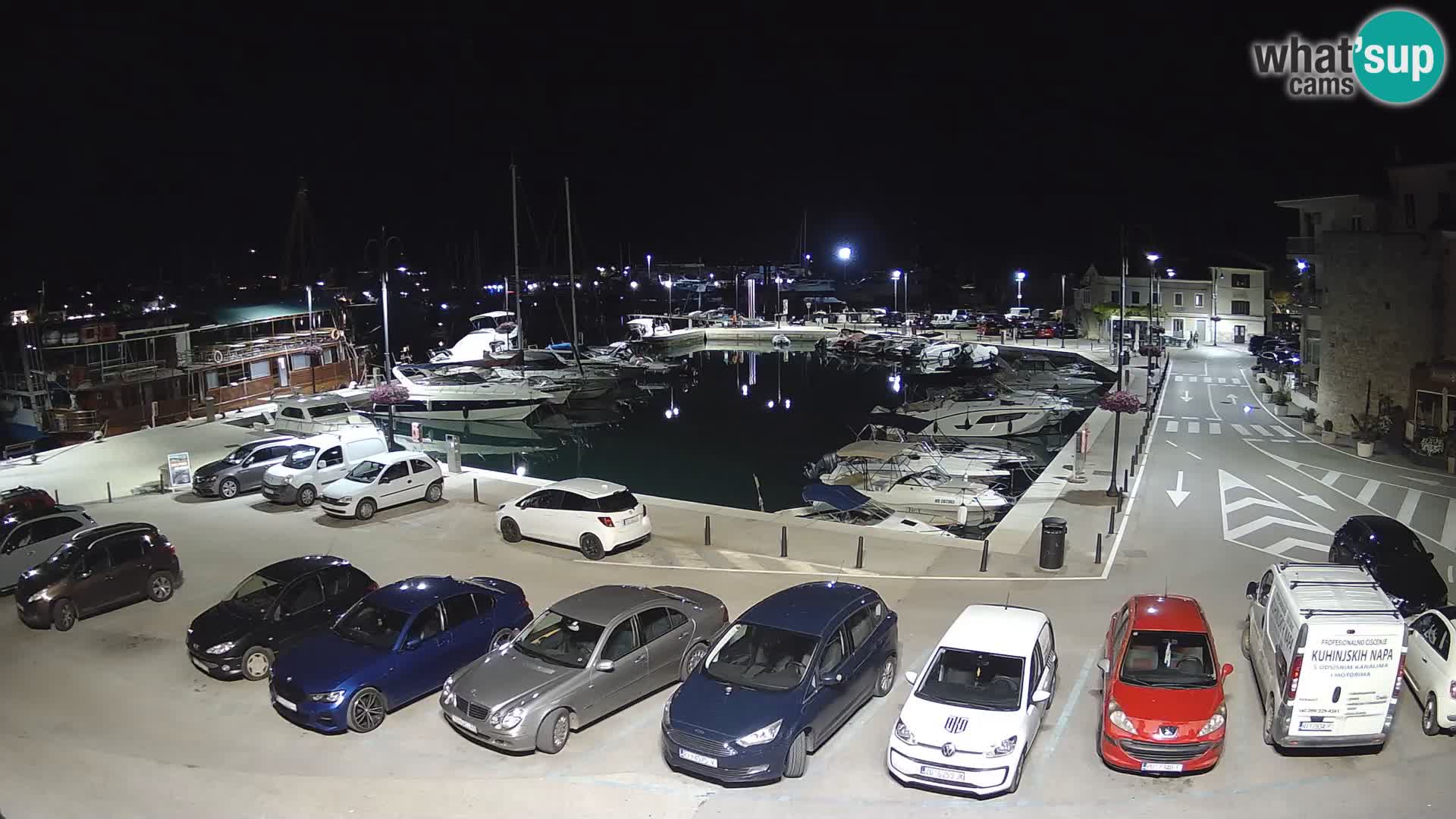Novigrad | Porporela marina