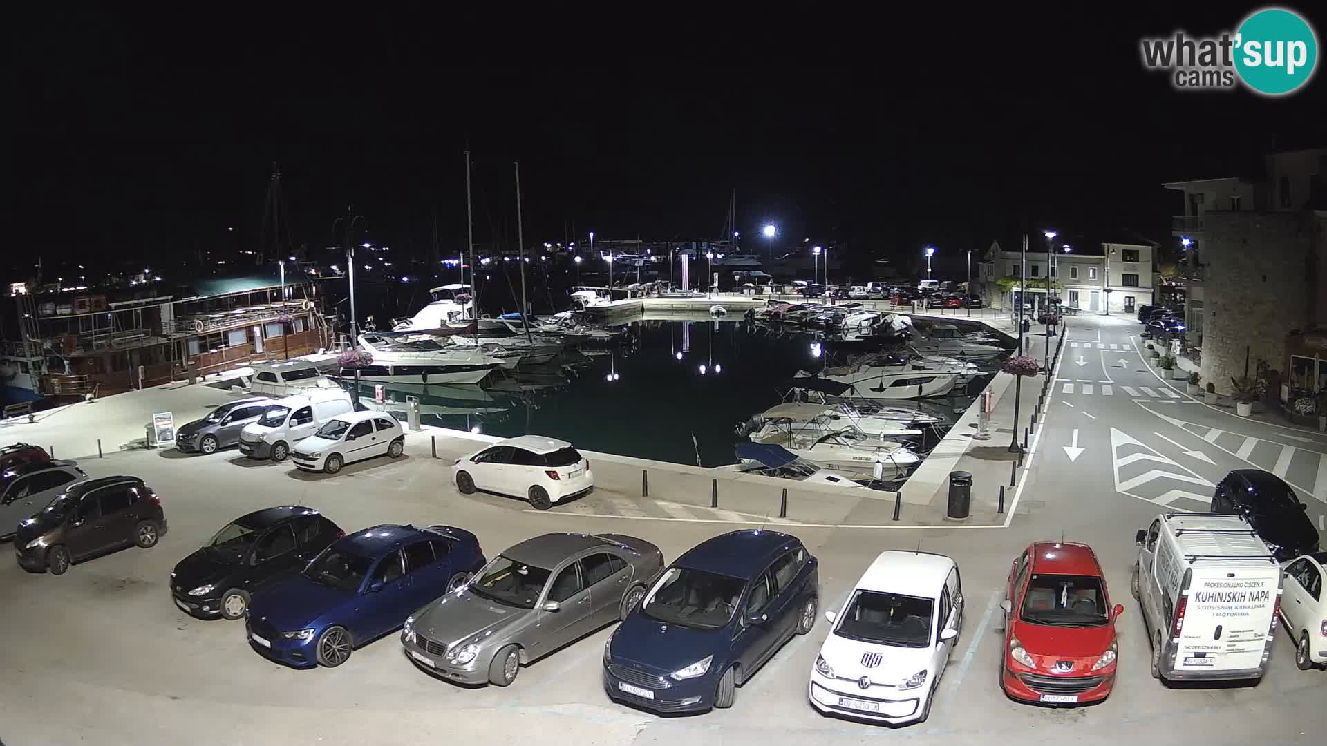 Novigrad | Porporela marina