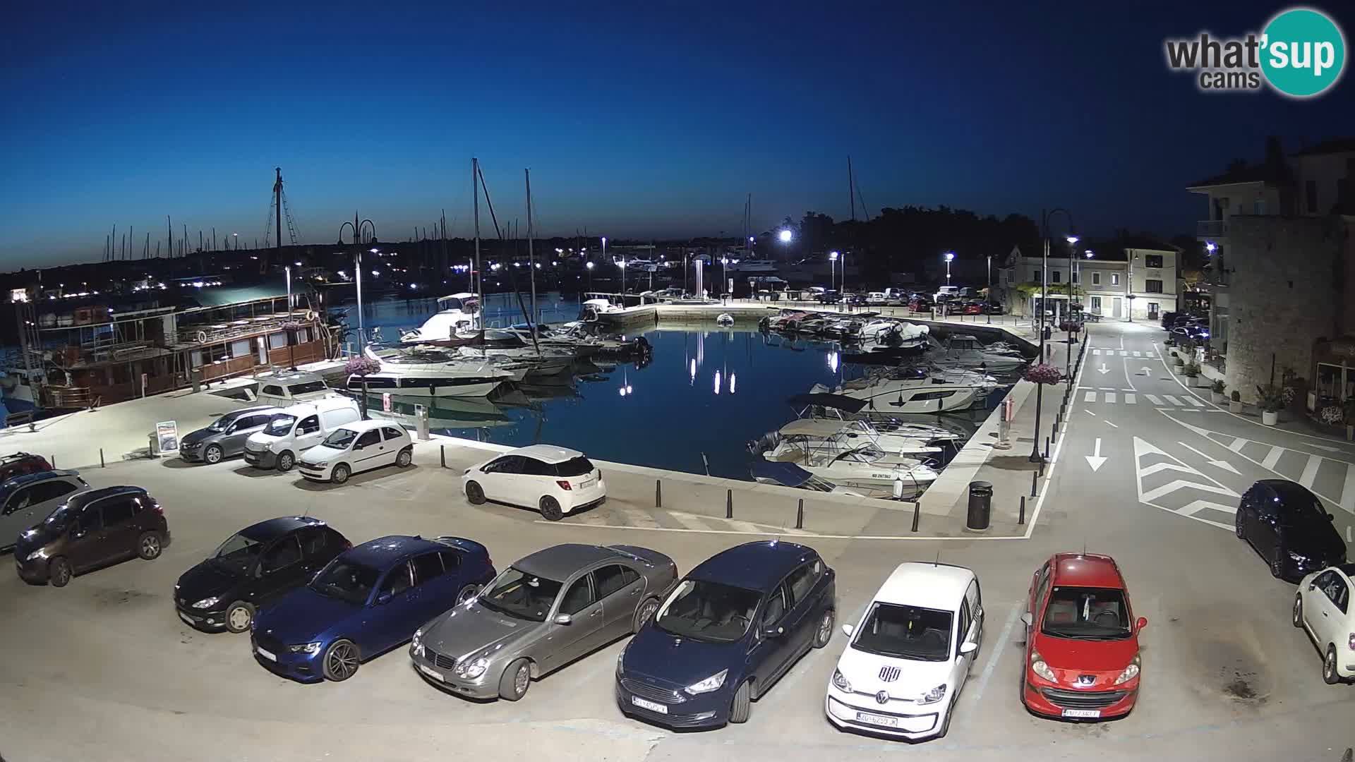 Novigrad | Porporela marina