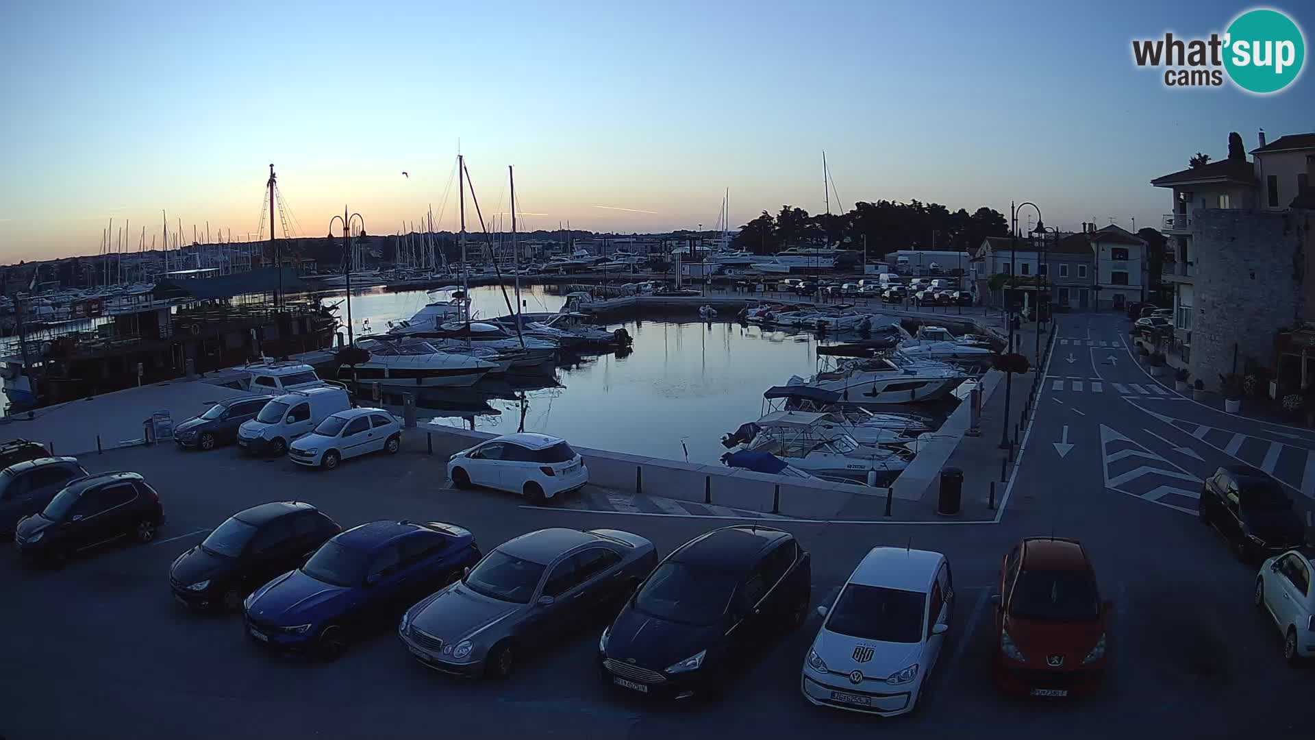 Novigrad | Porporela marina