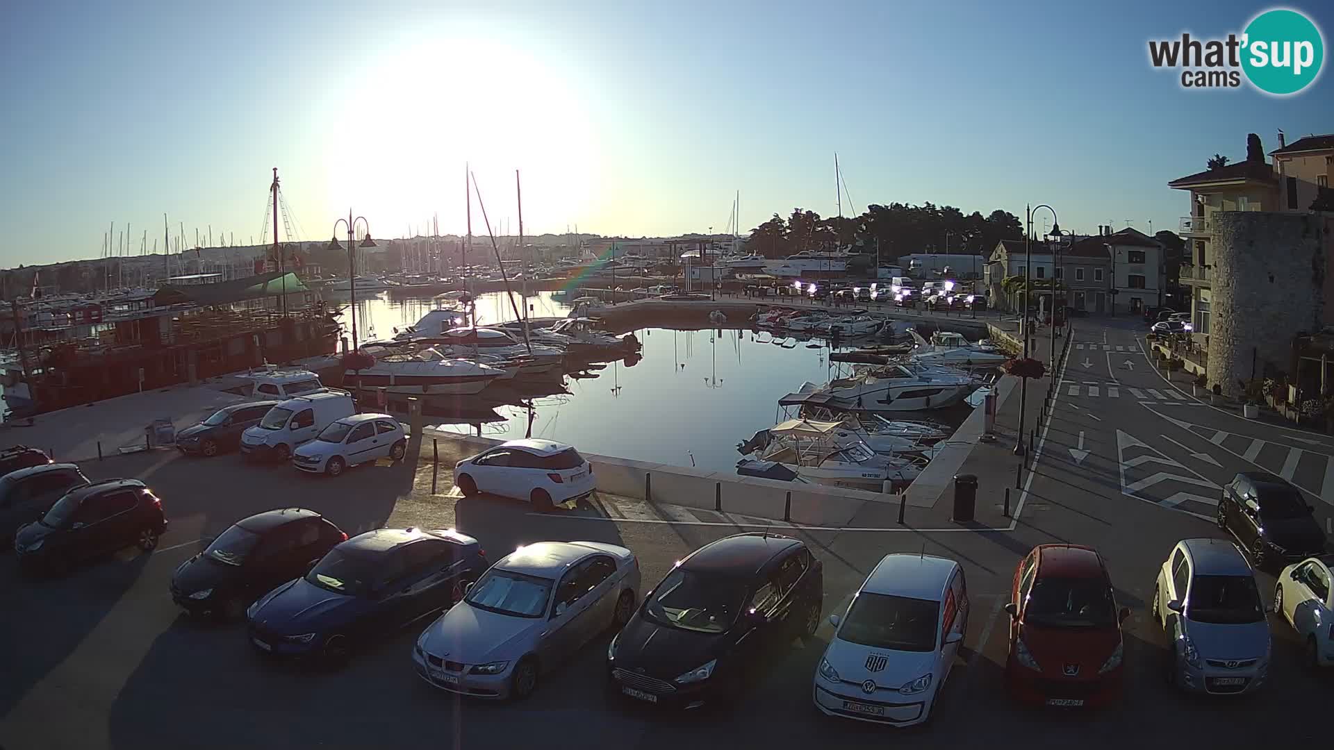 Novigrad | Porporela marina