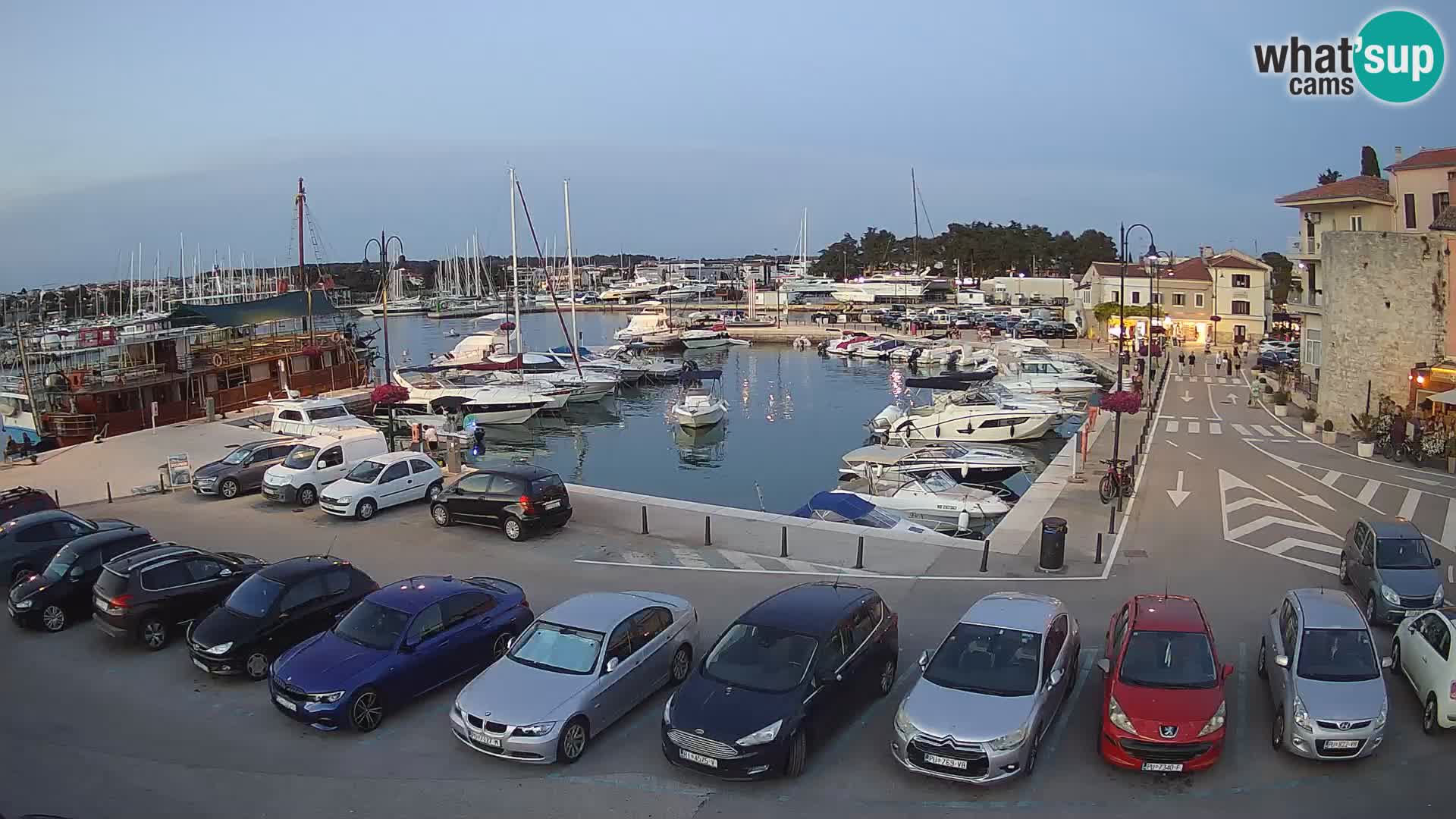 Novigrad | Porporela marina