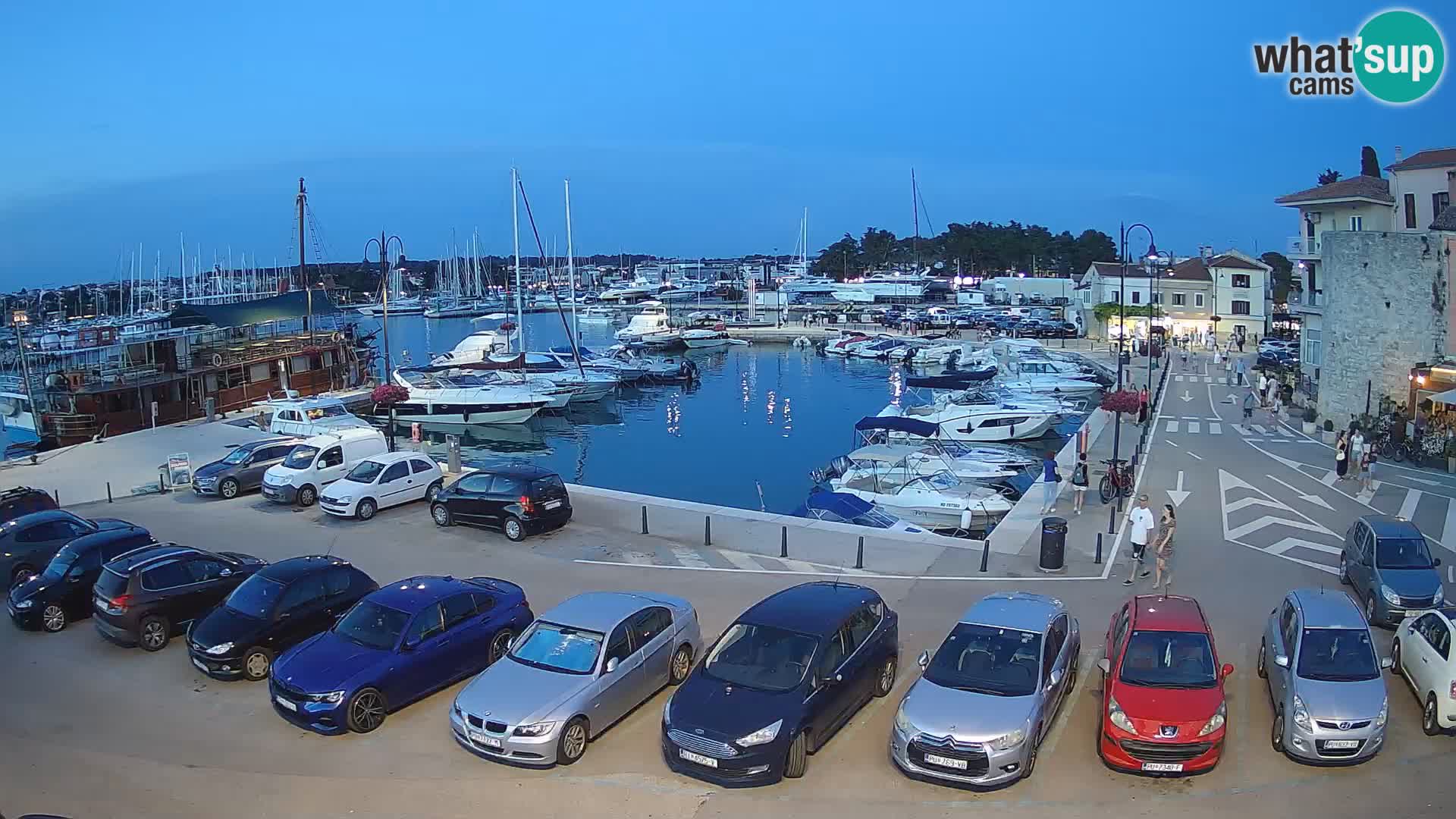 Novigrad | Porporela marina
