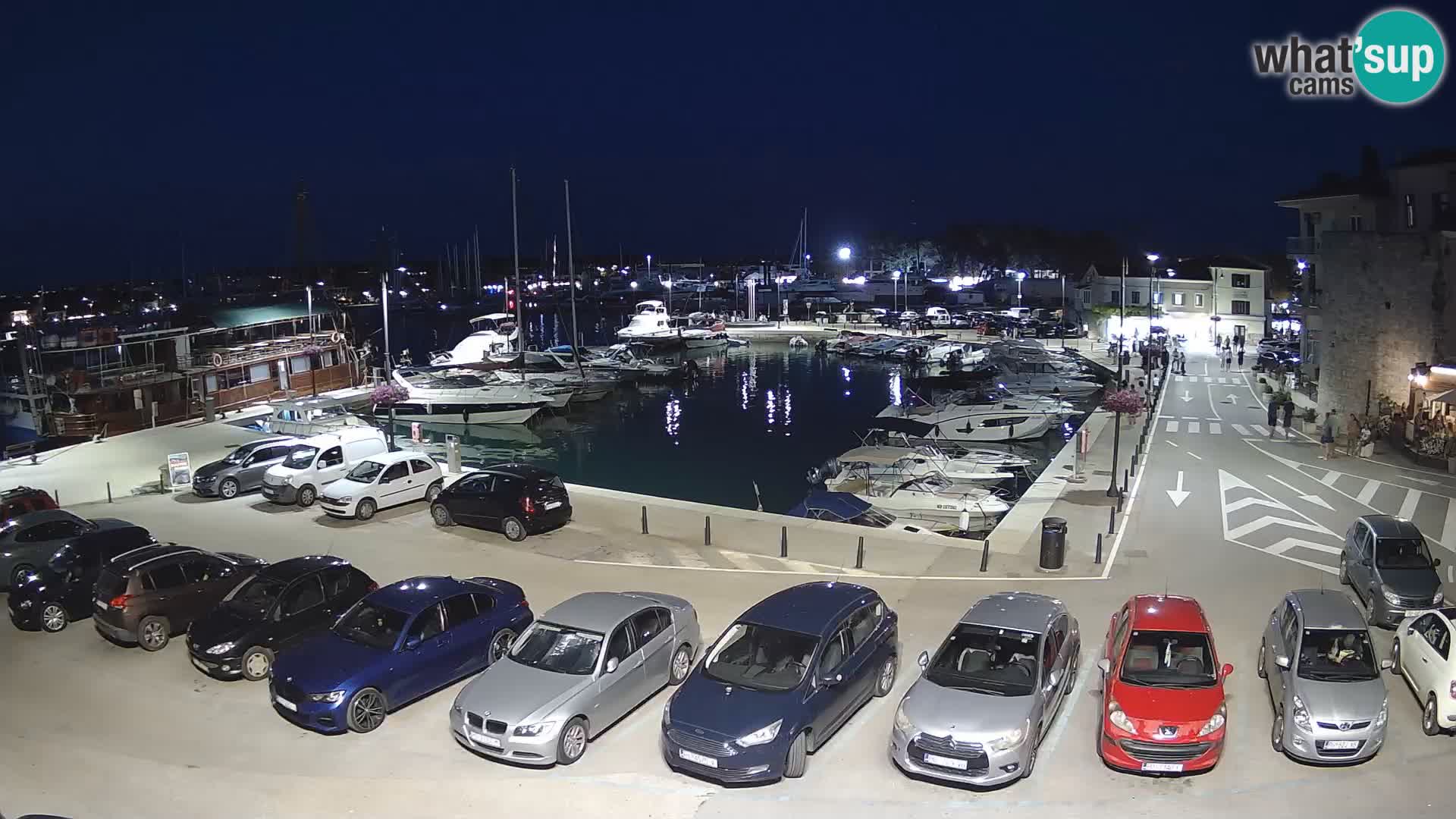 Novigrad | Porporela marina