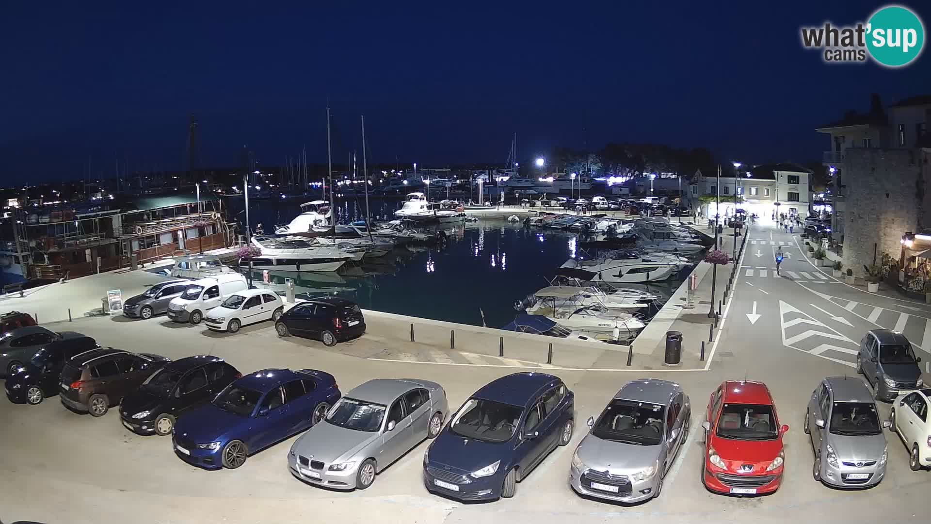 Novigrad | Porporela marina