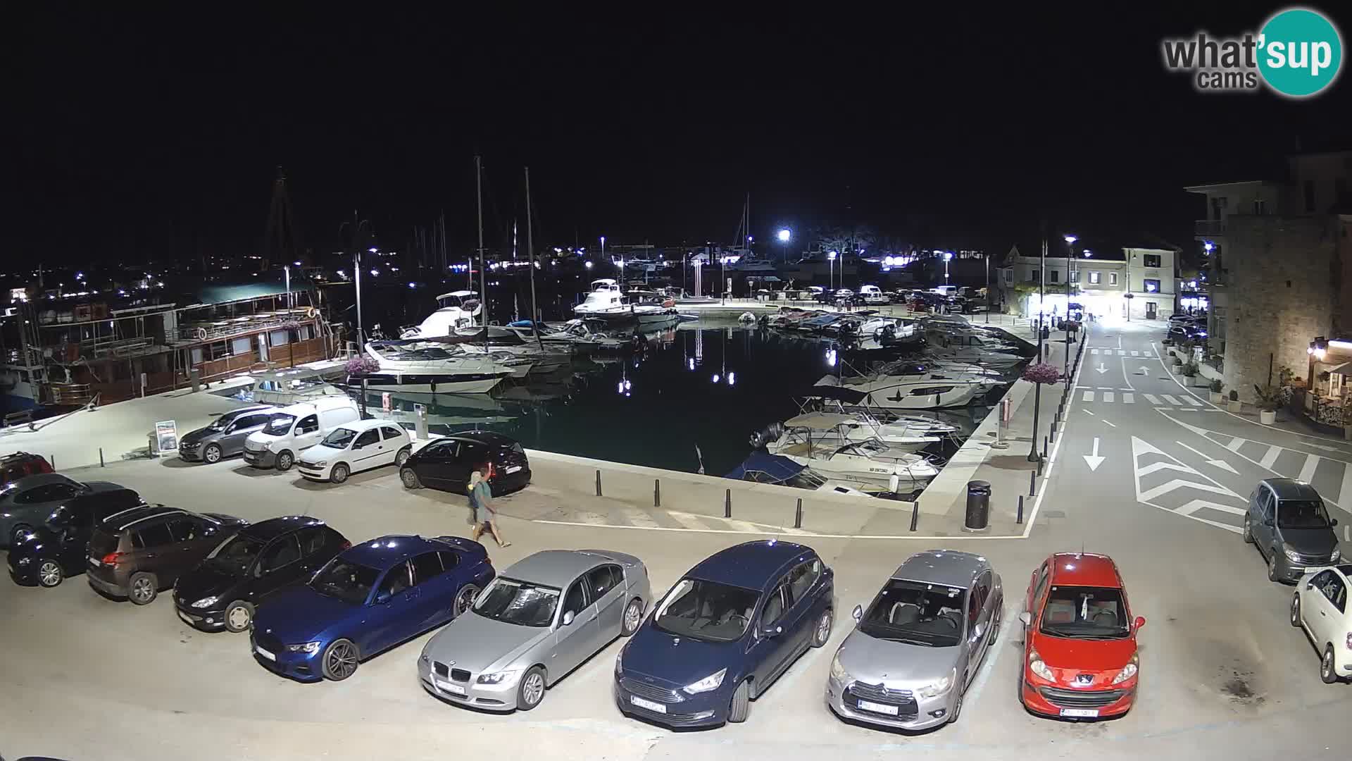 Novigrad | Porporela marina