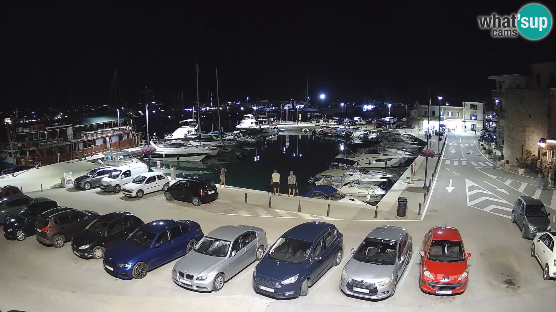 Novigrad | Porporela marina