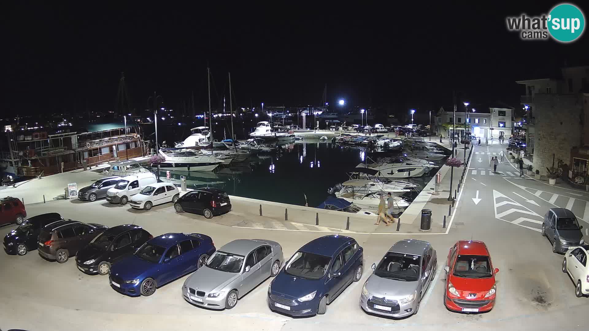 Novigrad | Porporela marina