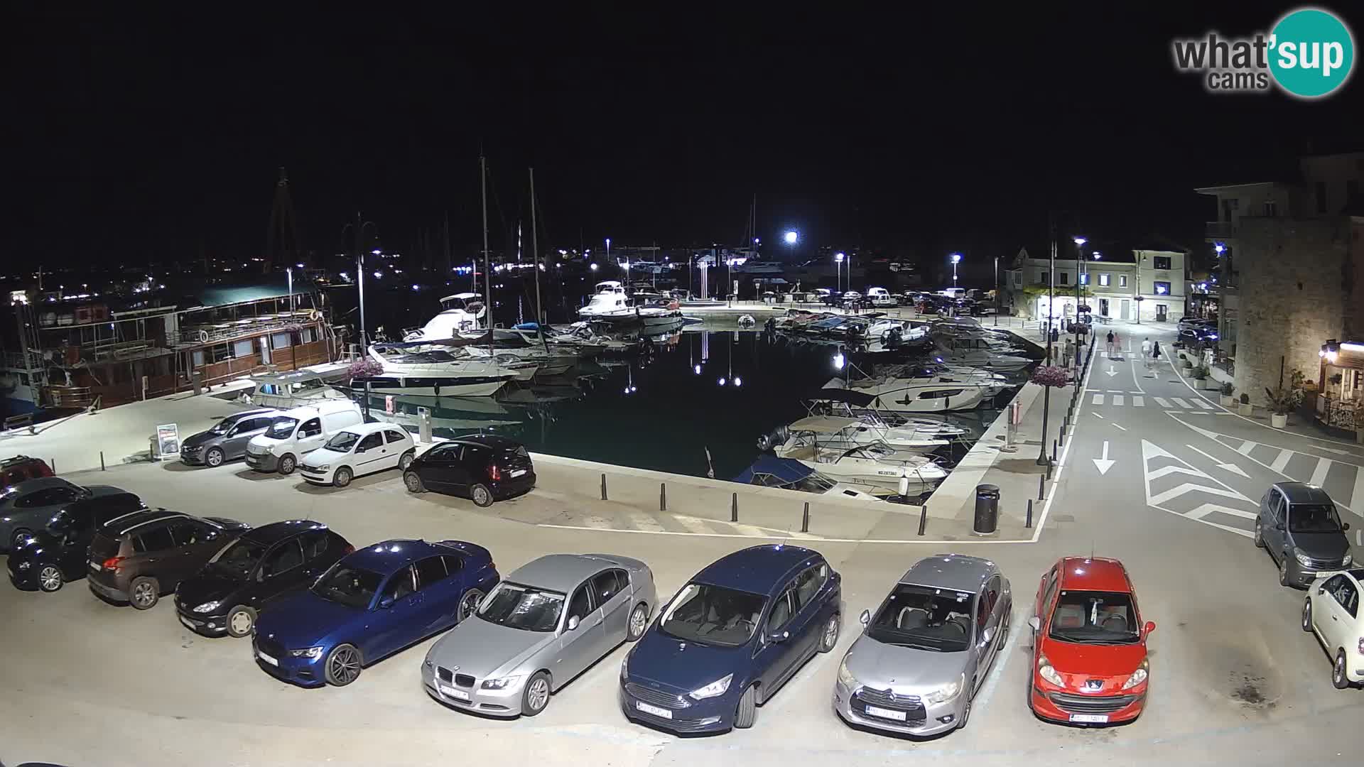 Novigrad | Porporela marina