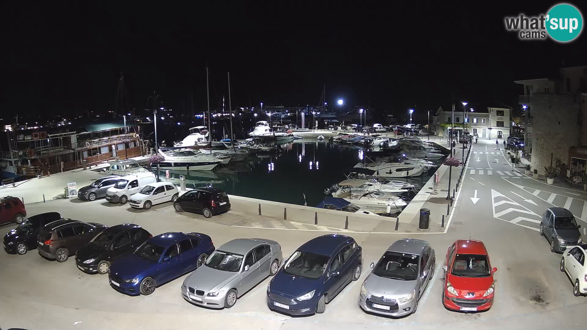 Novigrad | Porporela marina