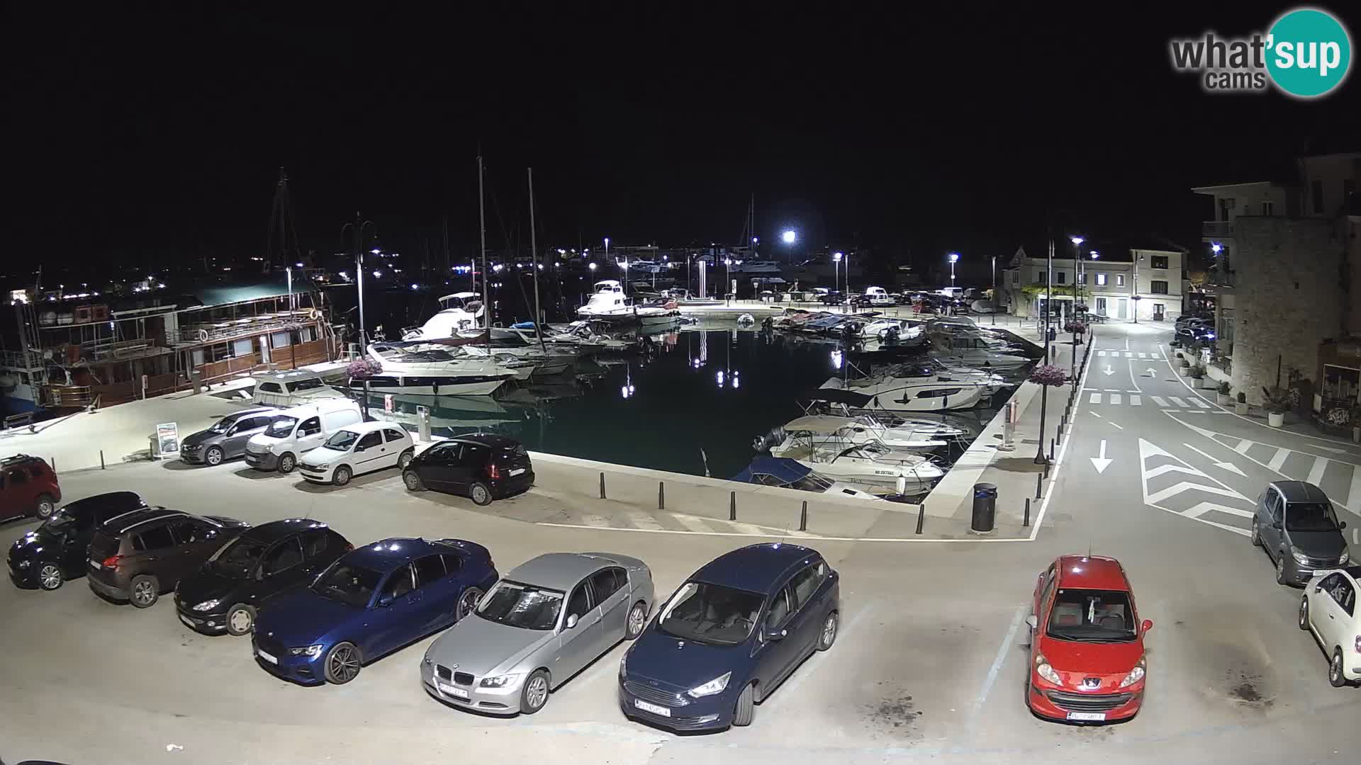 Novigrad | Porporela marina