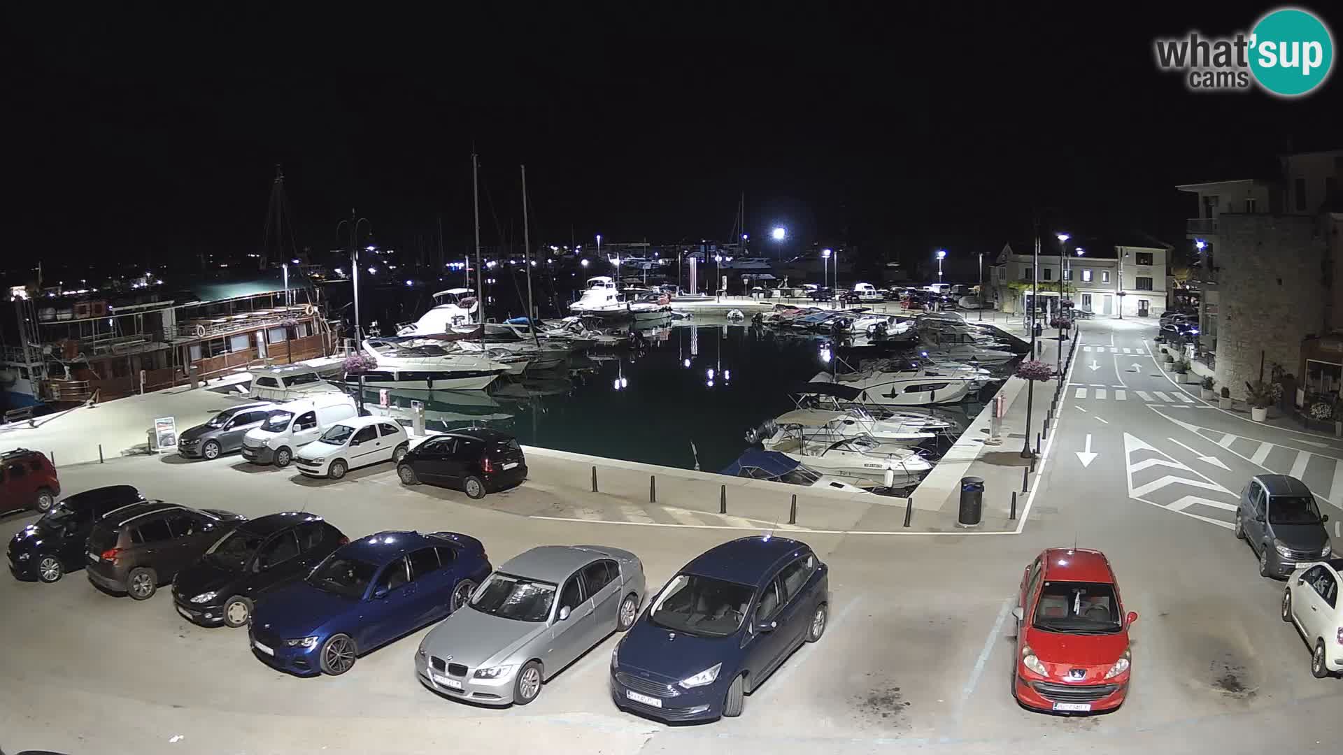 Novigrad | Porporela marina