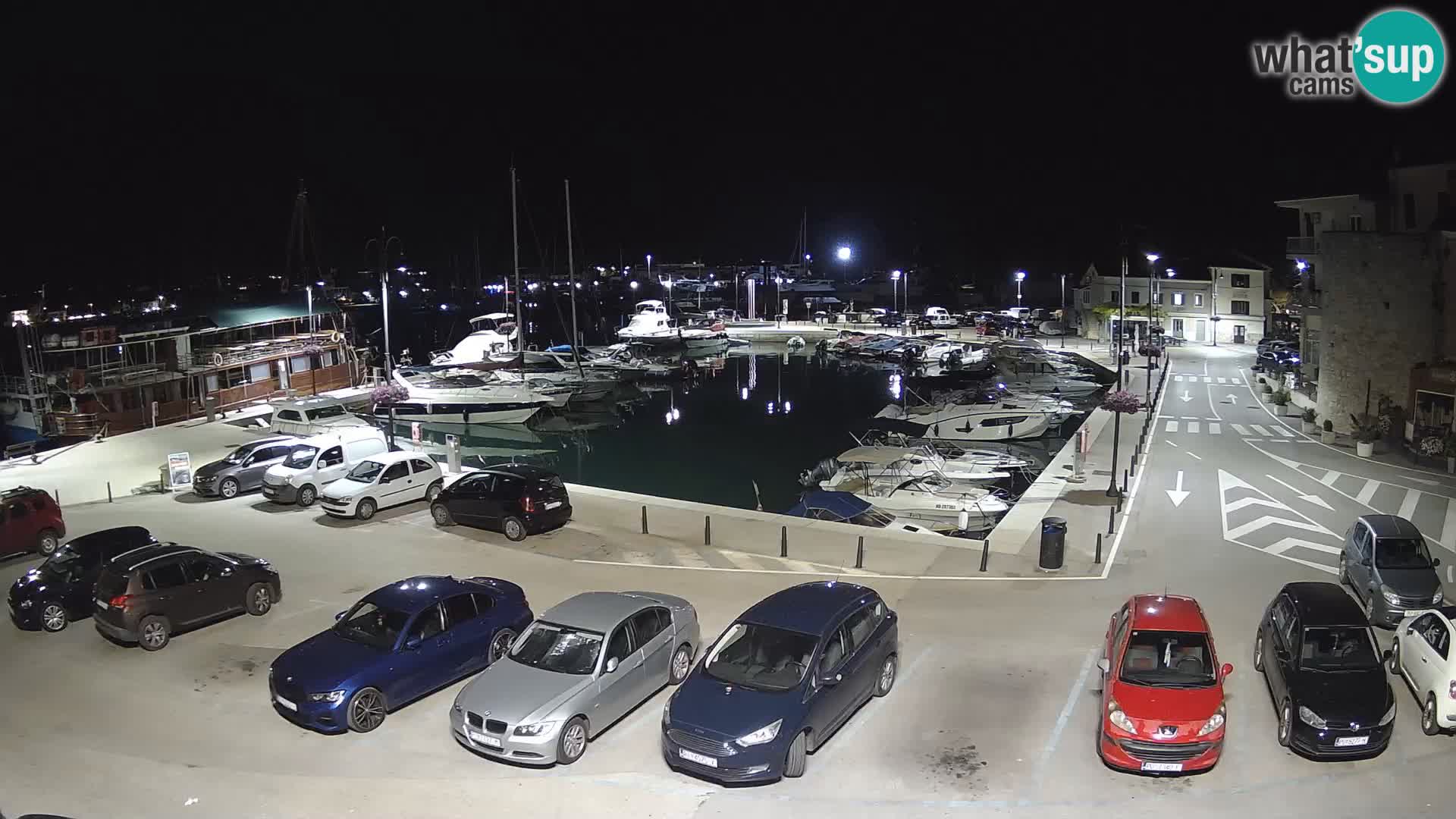 Novigrad | Porporela marina