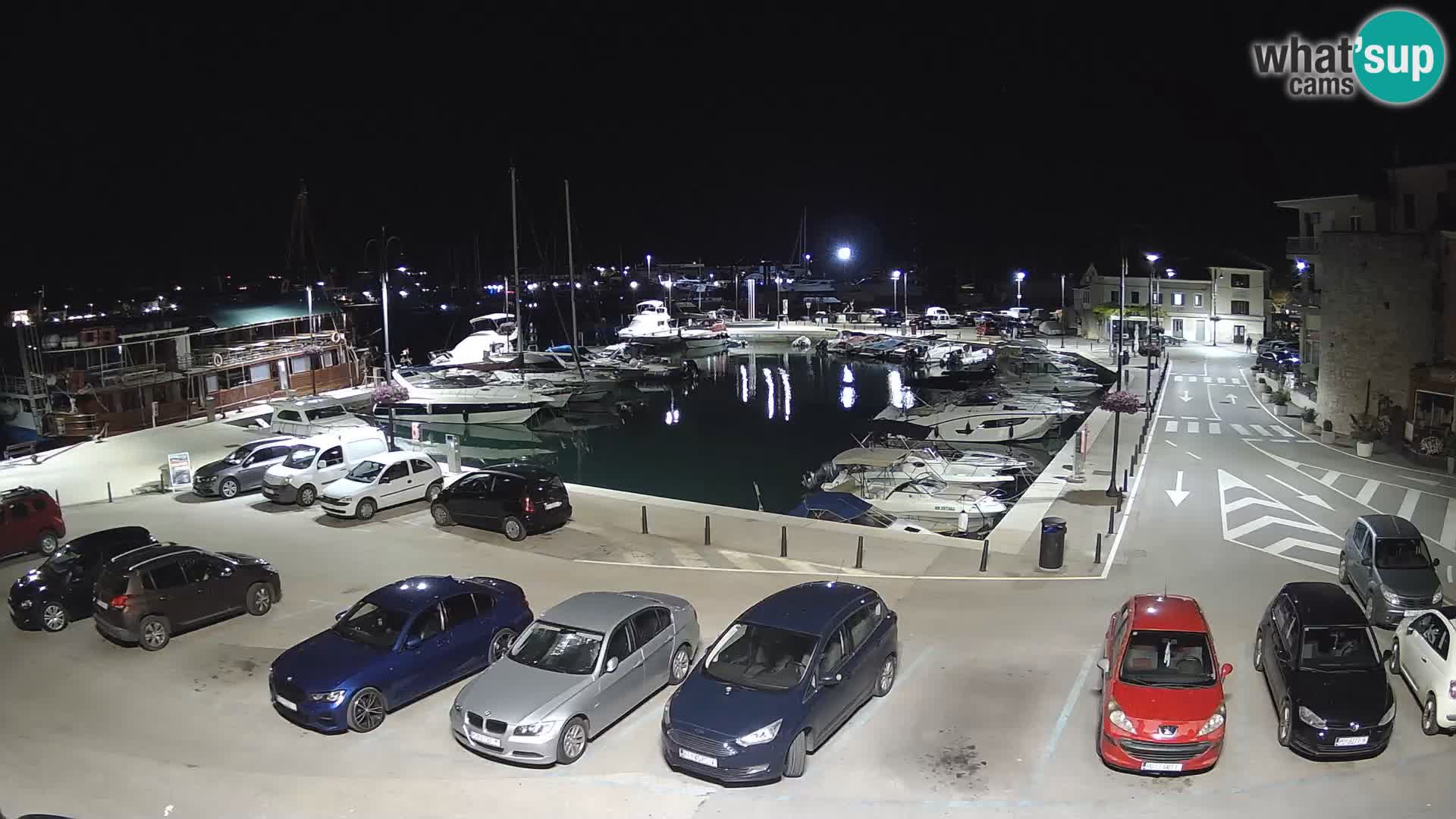 Novigrad | Porporela marina