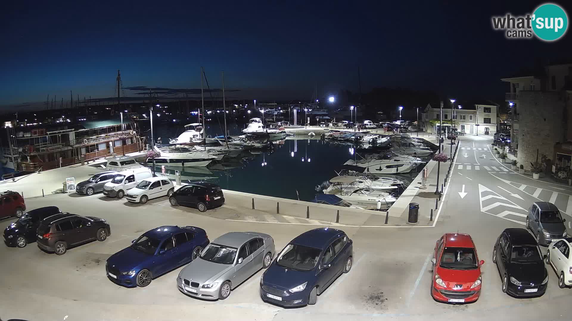 Novigrad | Porporela marina