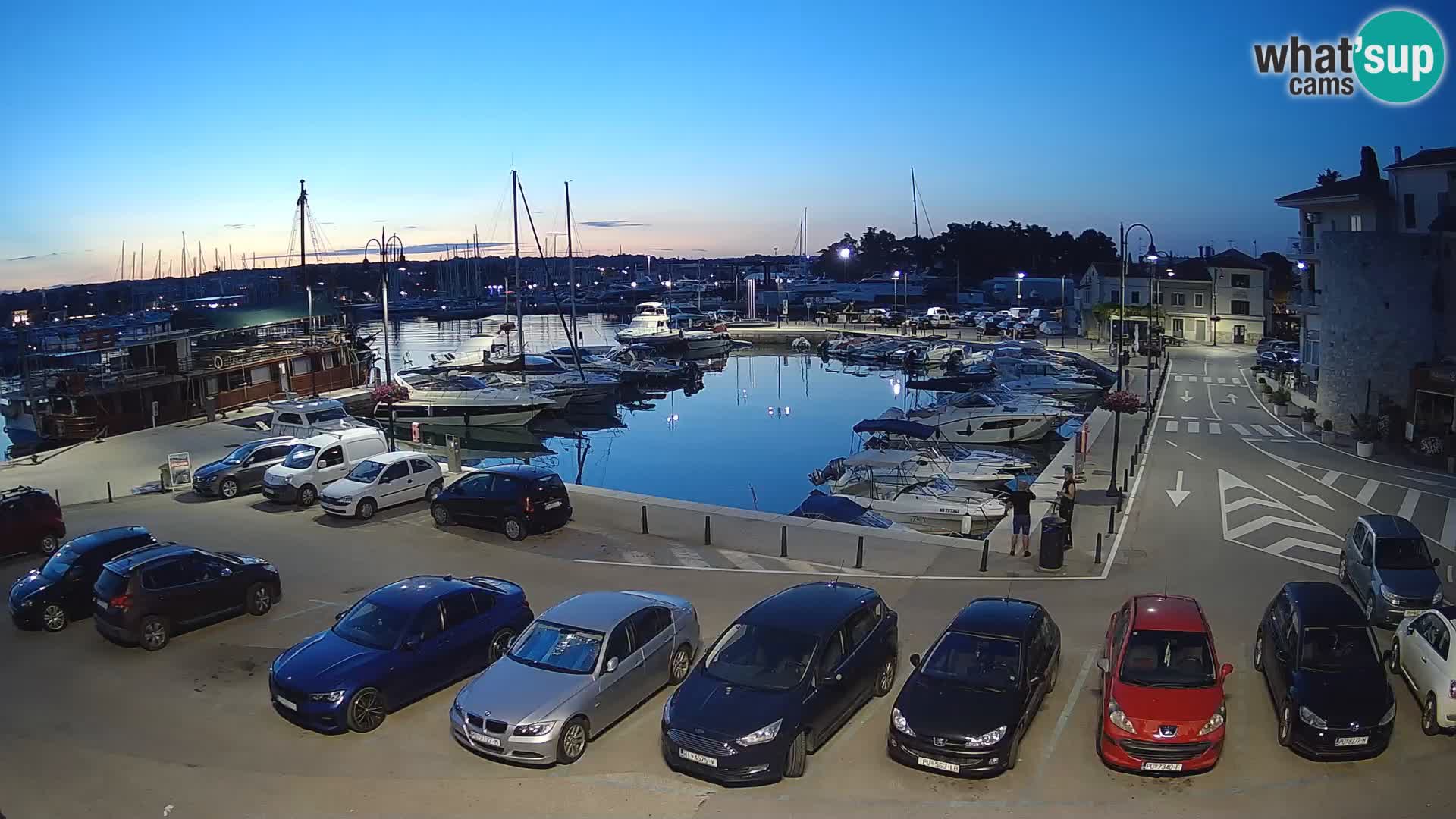 Novigrad | Porporela marina