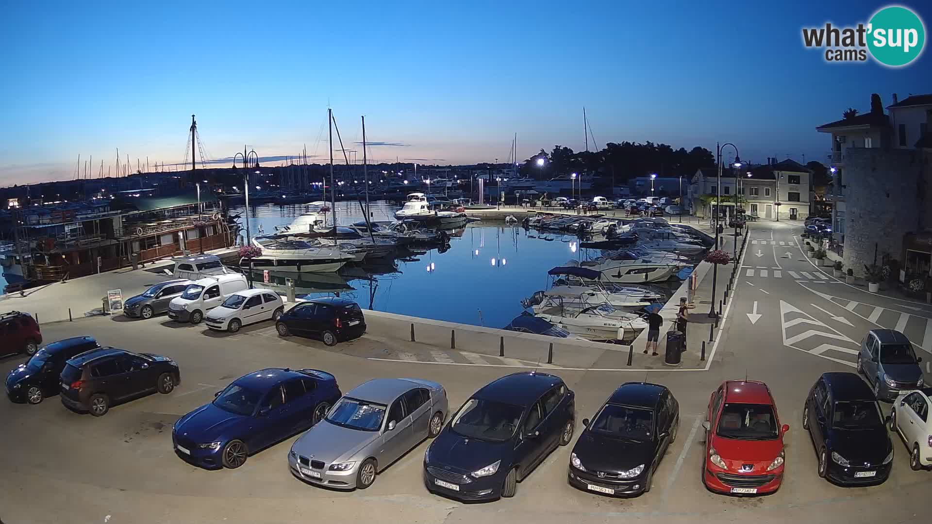 Novigrad | Porporela marina