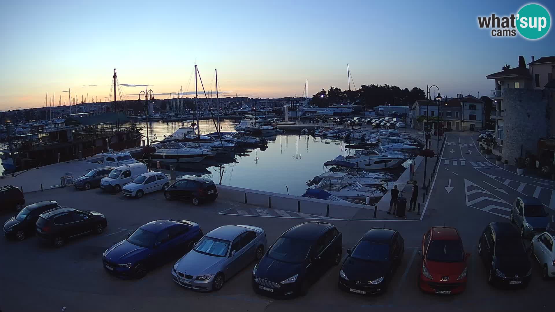 Novigrad | Porporela marina
