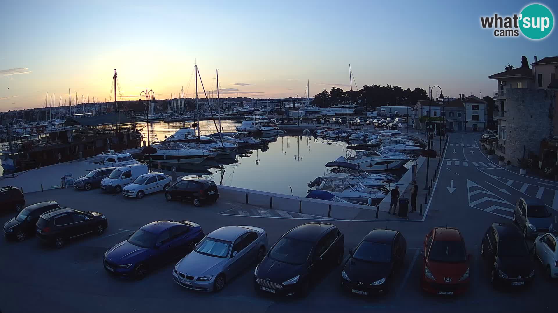 Novigrad | Porporela marina