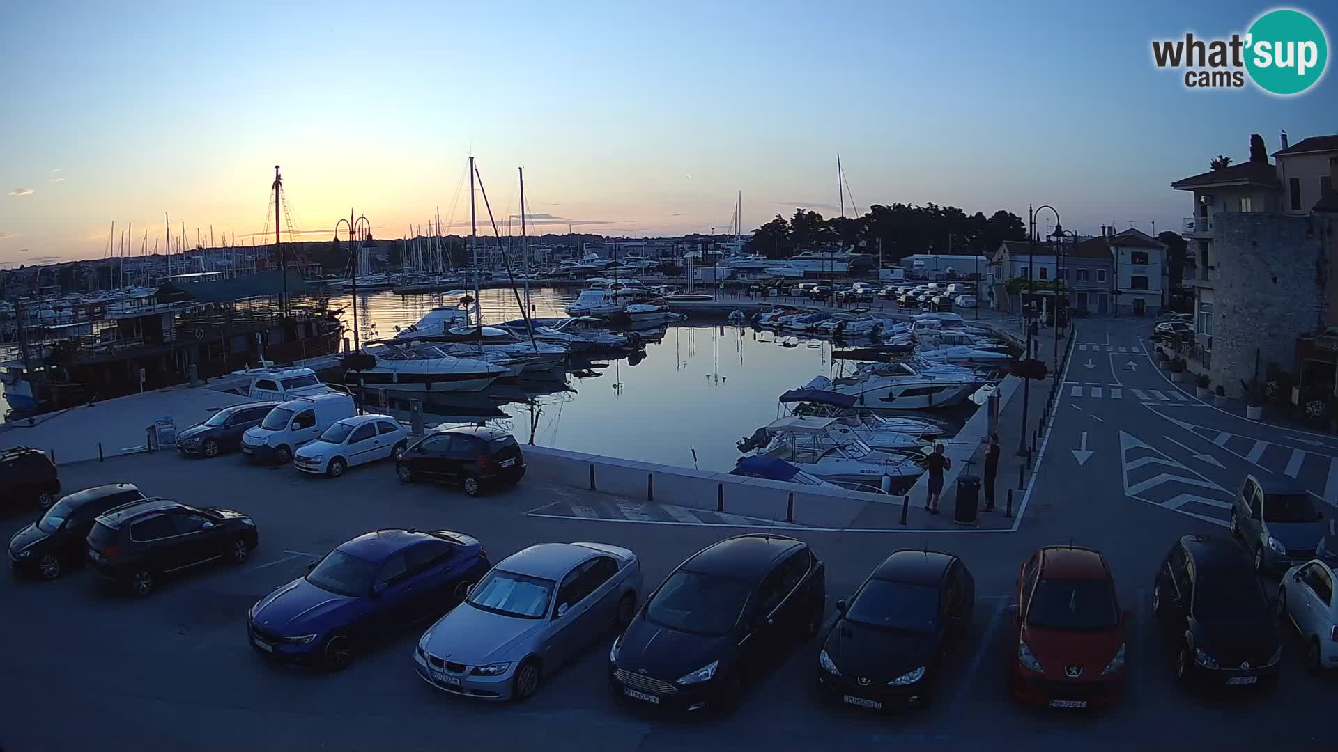 Novigrad | Porporela marina