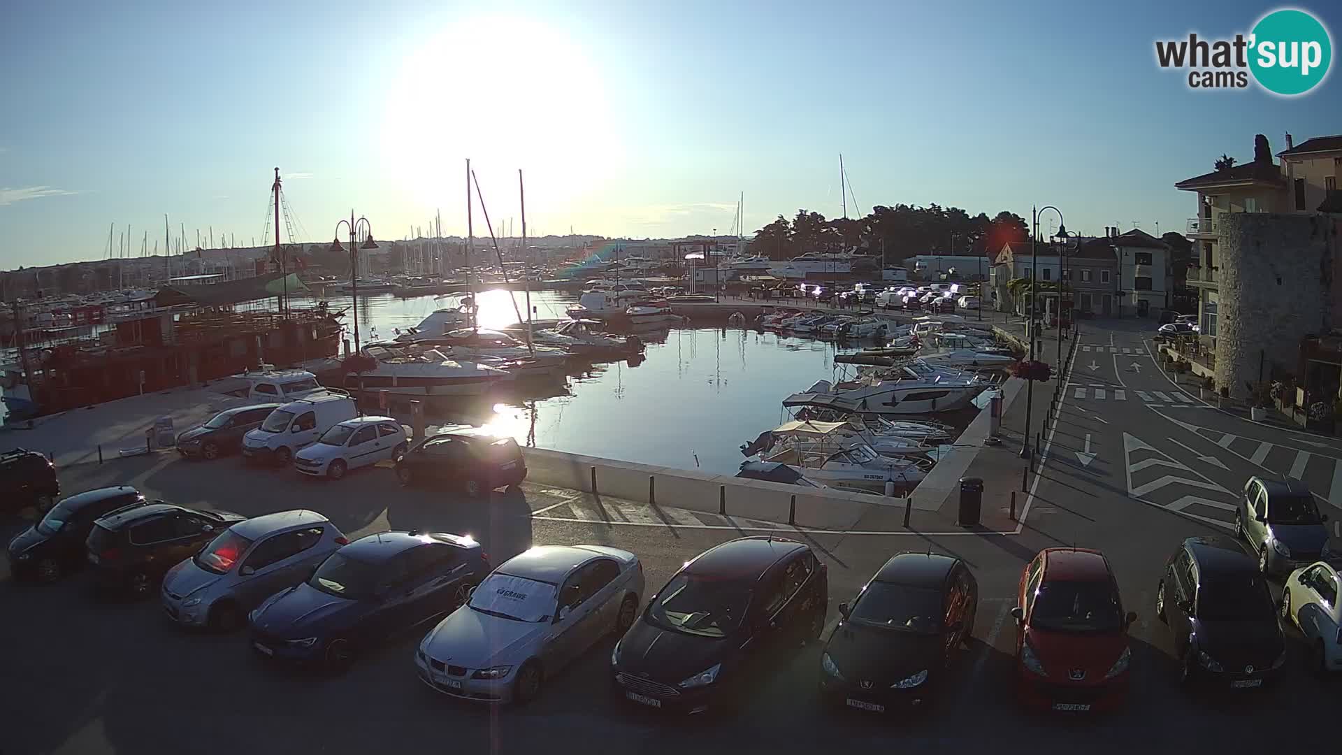 Novigrad | Porporela marina