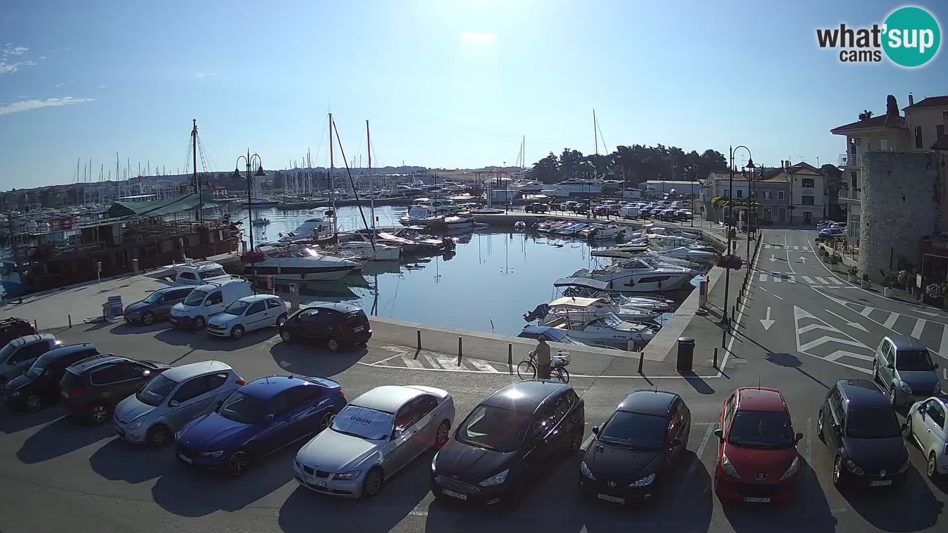 Novigrad | Porporela marina