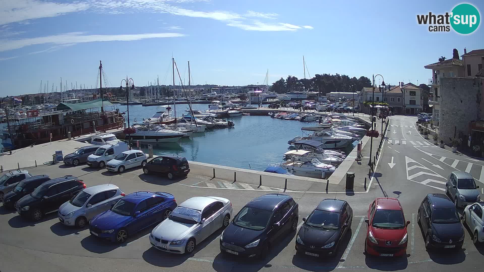 Novigrad | Porporela marina