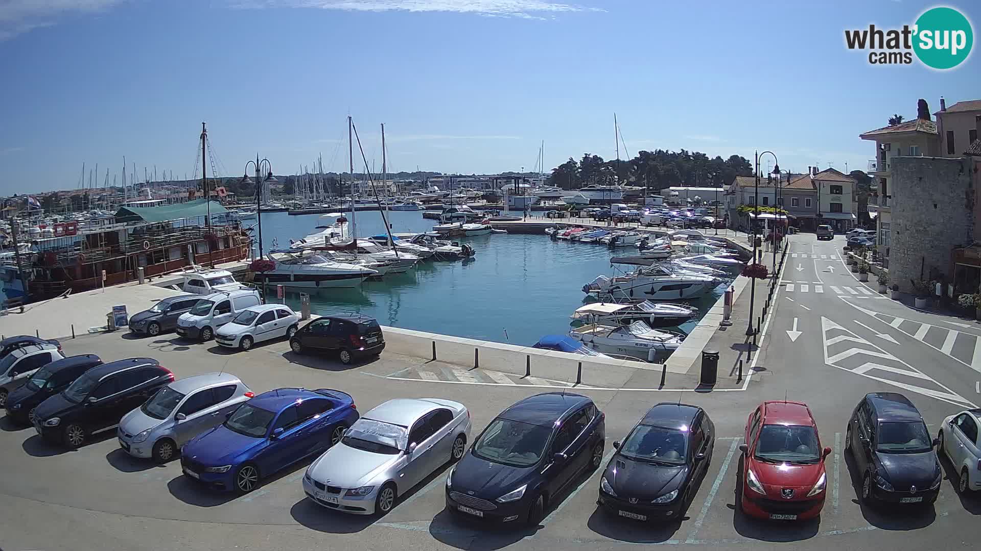 Novigrad | Porporela marina