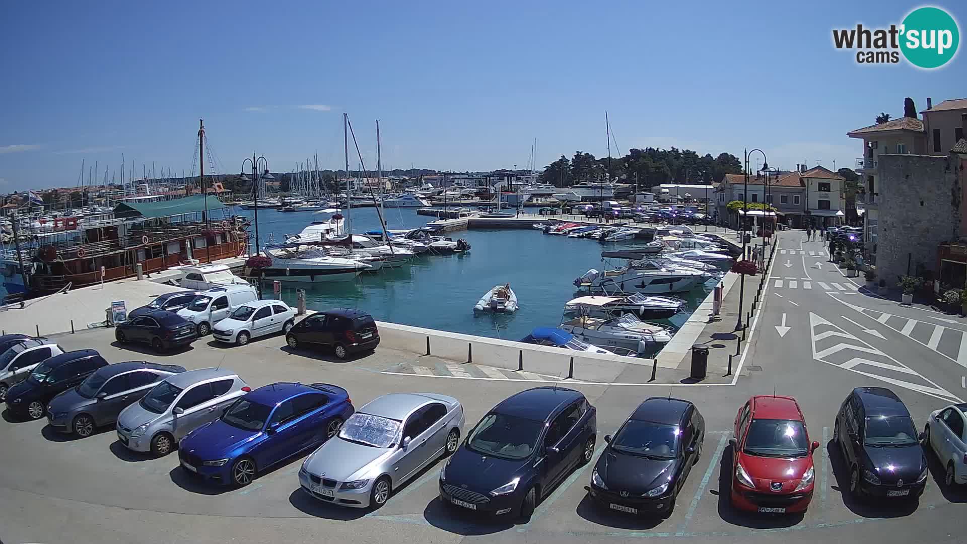 Novigrad | Porporela marina
