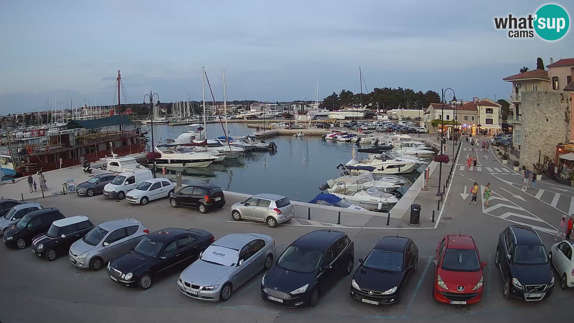 Novigrad | Porporela marina