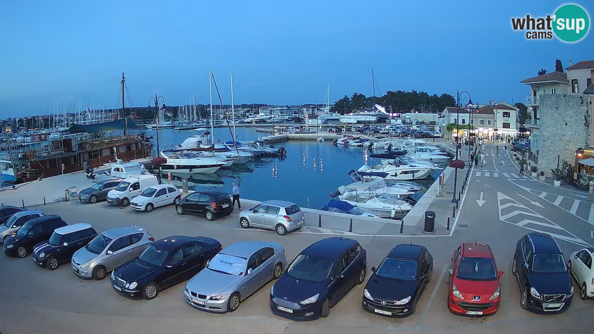 Novigrad | Porporela marina