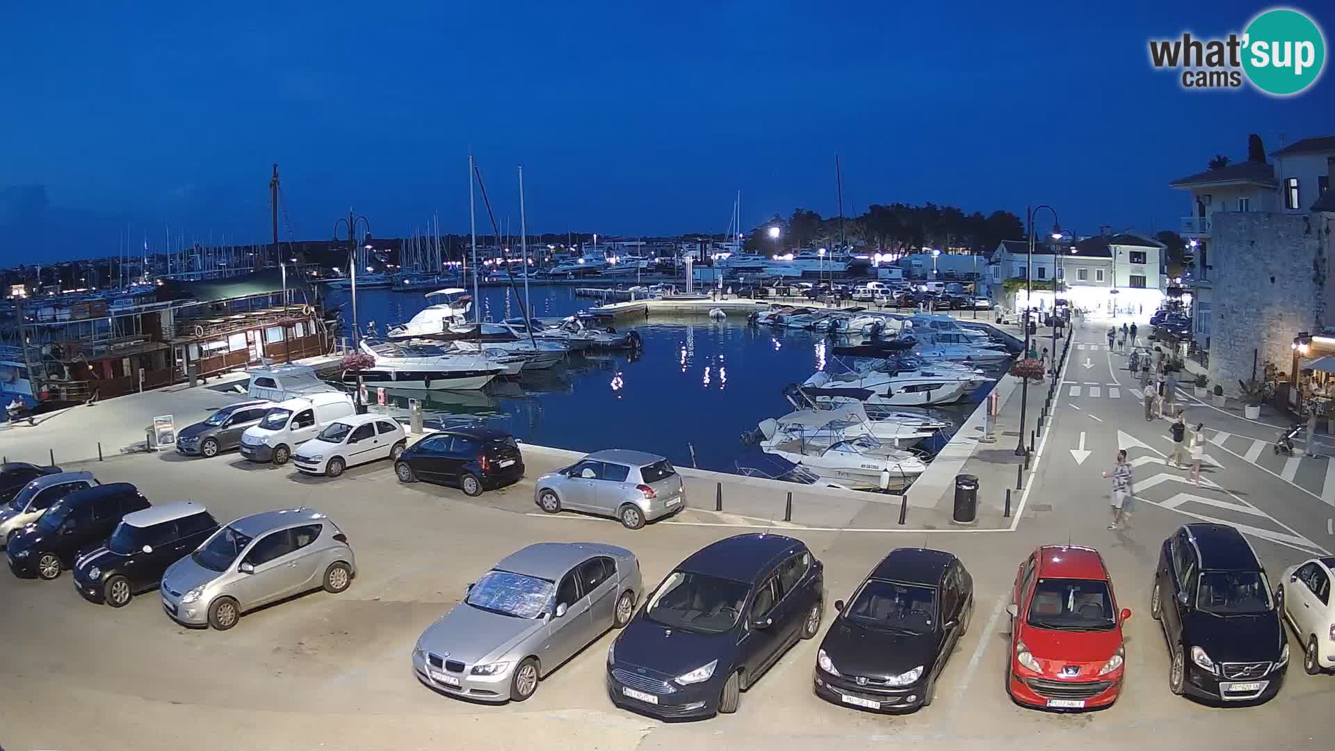 Novigrad | Porporela marina