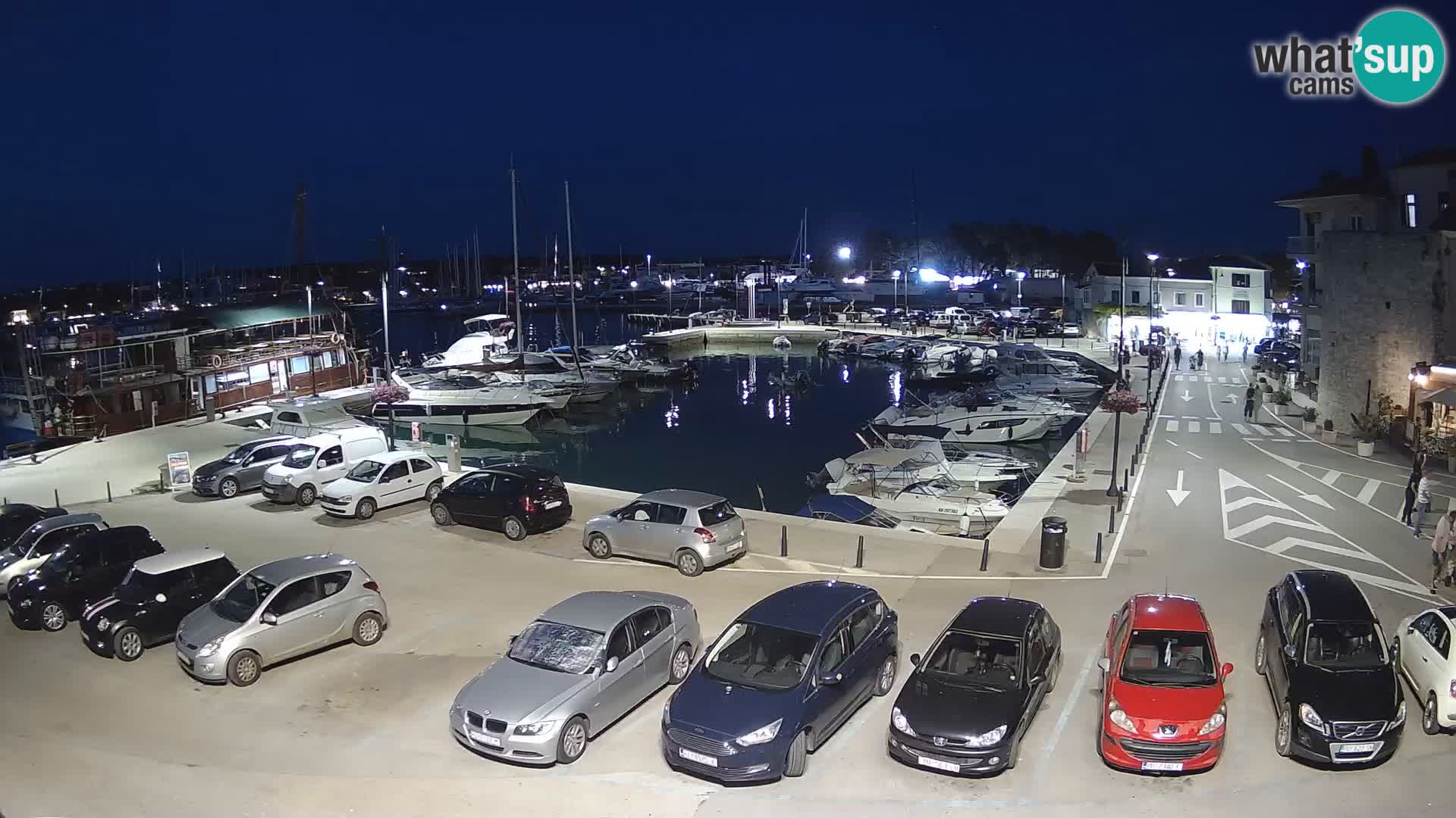 Novigrad | Porporela marina